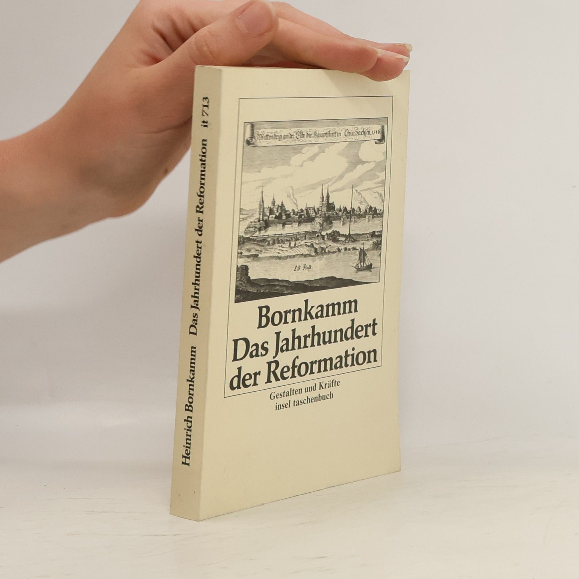 Heinrich Bornkamm Das Jahrhundert der Reformation