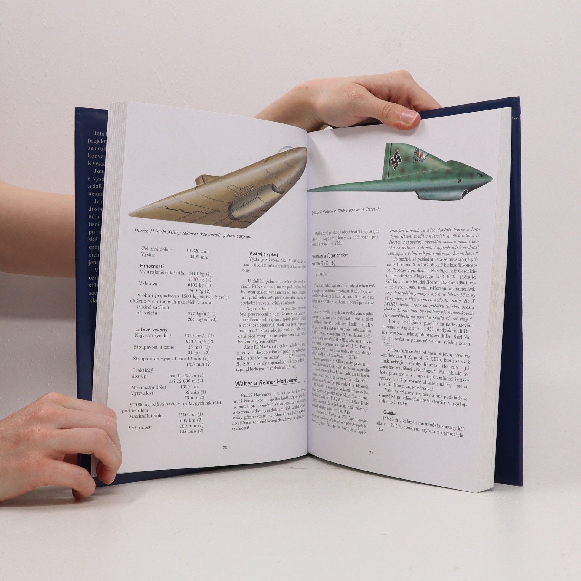 Walter Schick Tajné projekty Luftwaffe. Stíhači 1939-1945