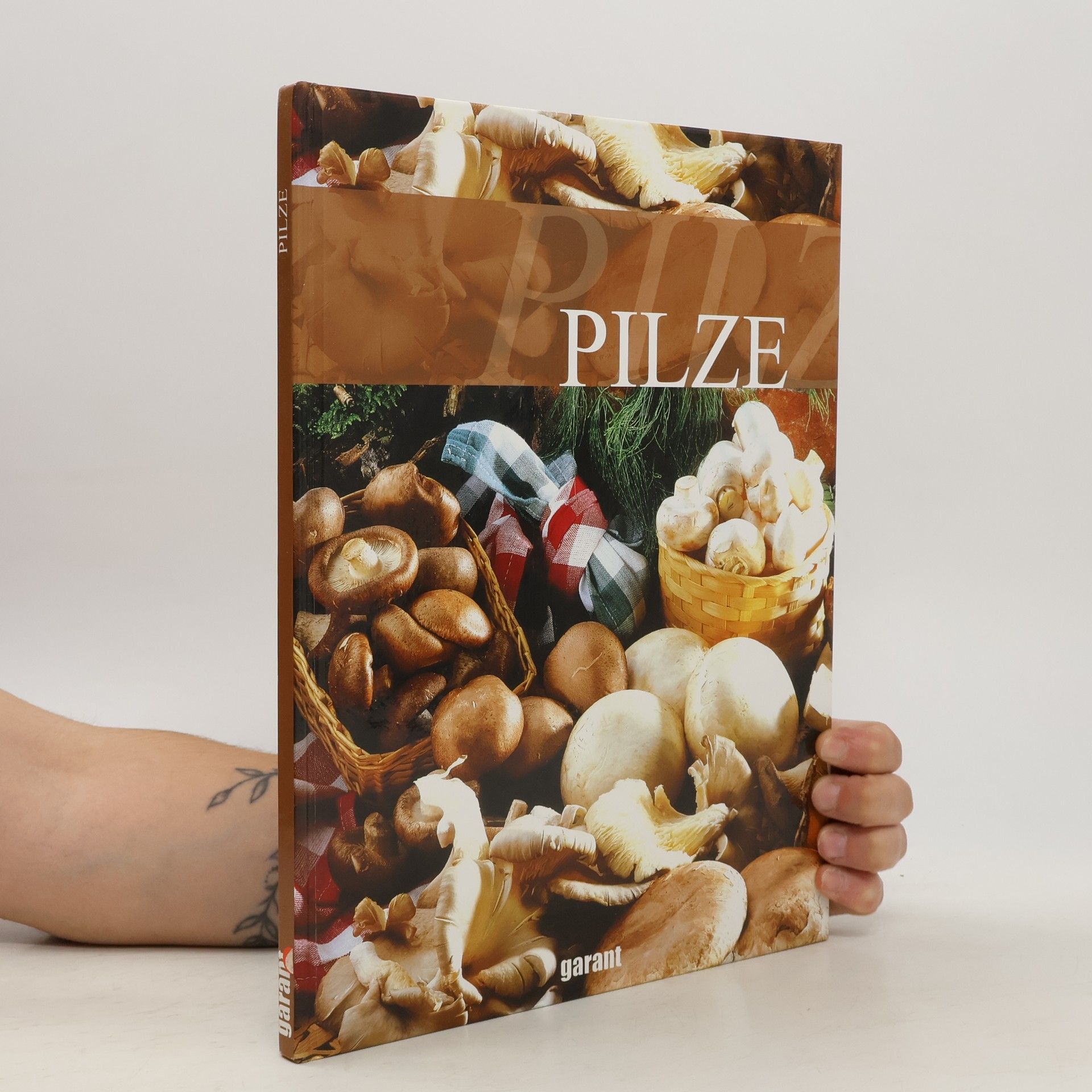 kolektiv Pilze