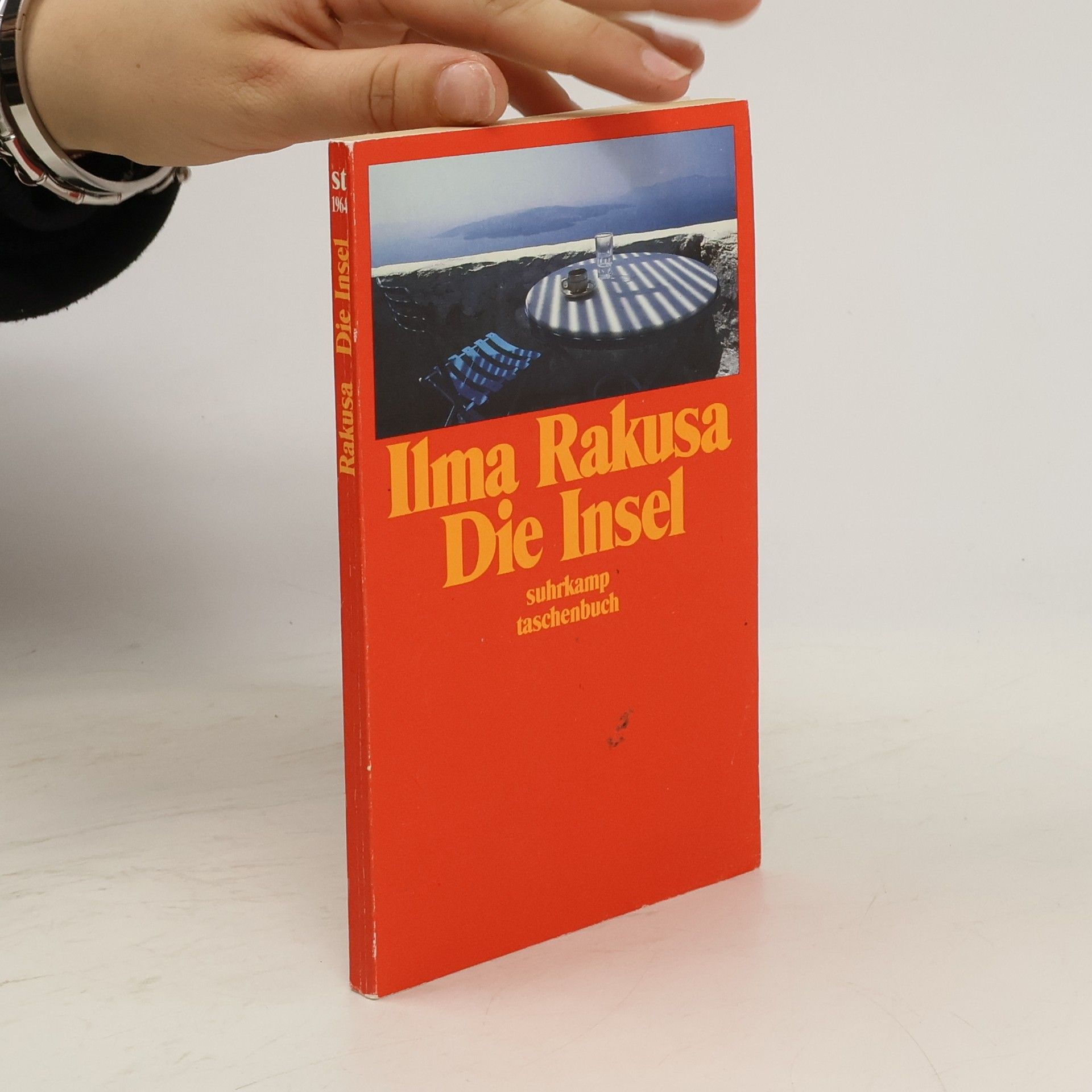 Ilma Rakusa Die Insel