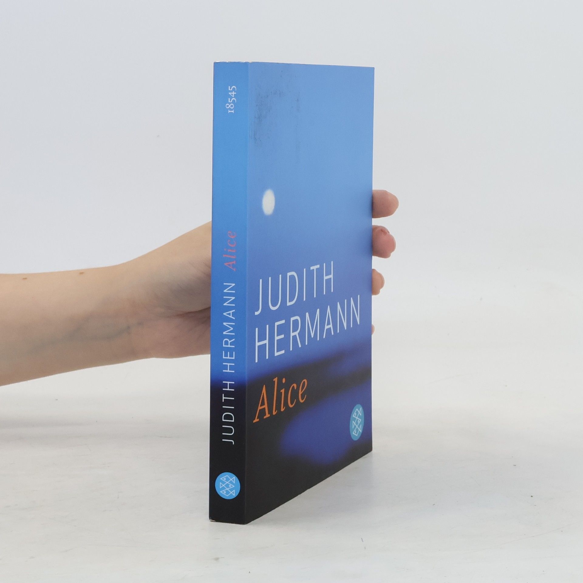Judith Hermann Alice