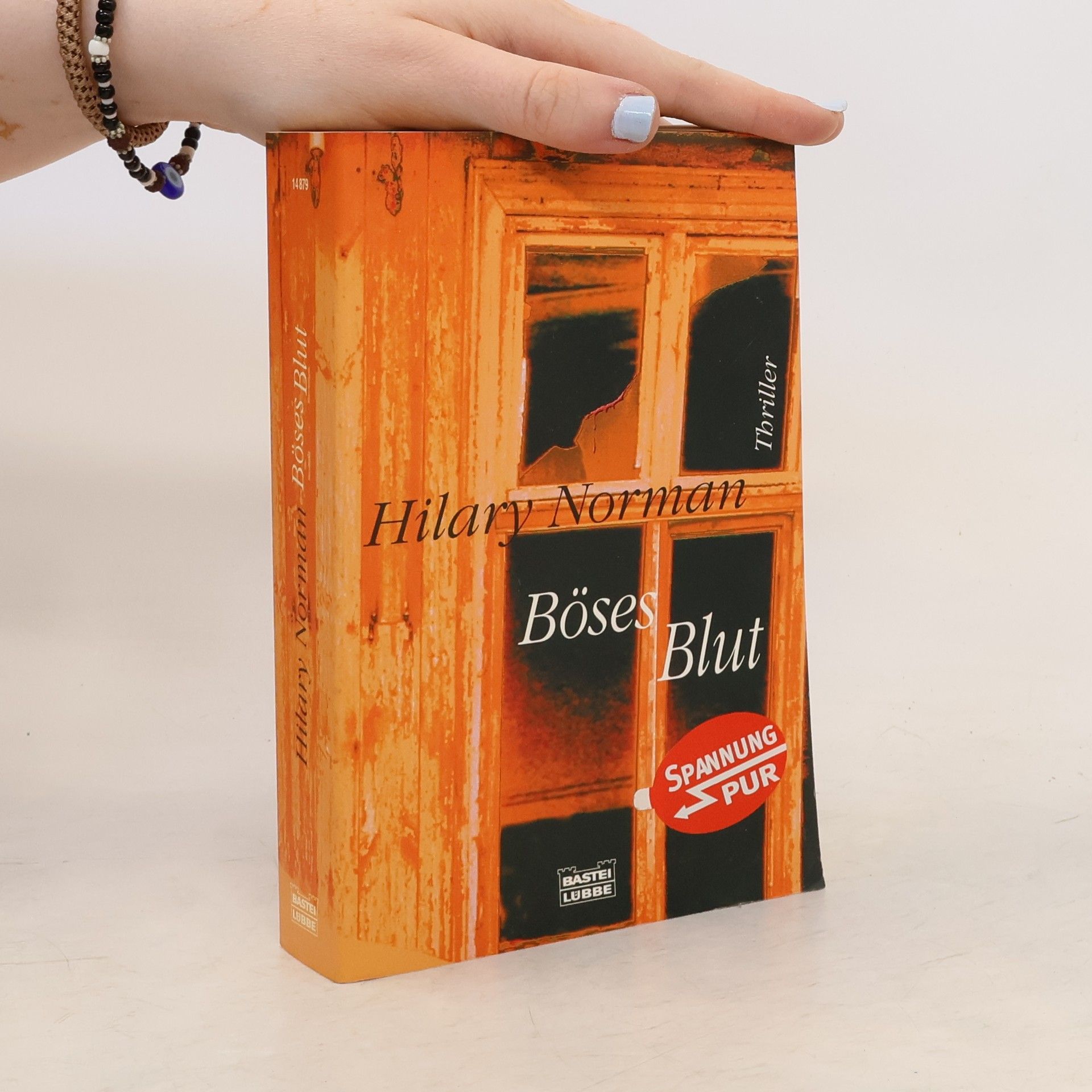 Hilary Norman Böses Blut
