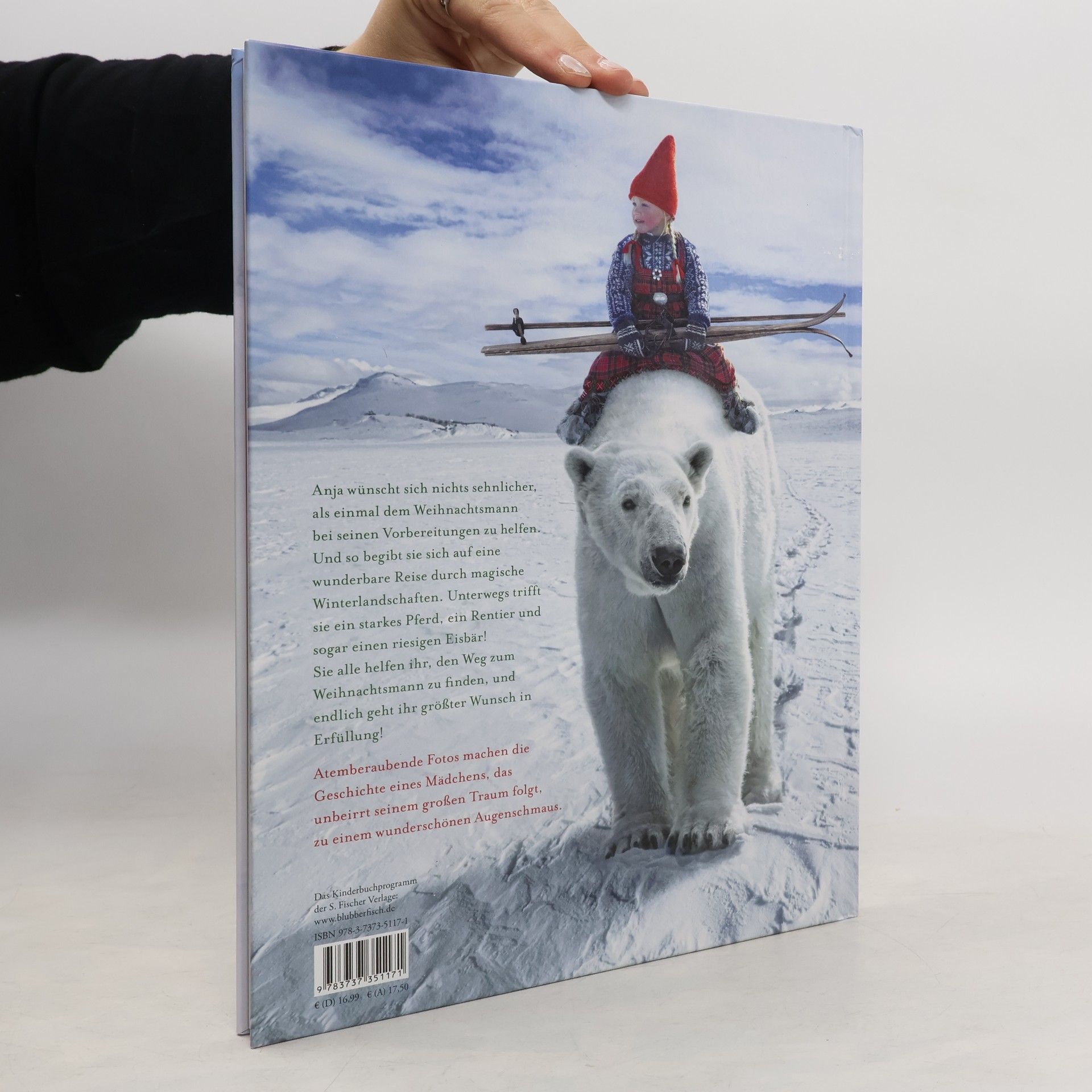 Lori Evert Die wunderbare Weihnachtsreise