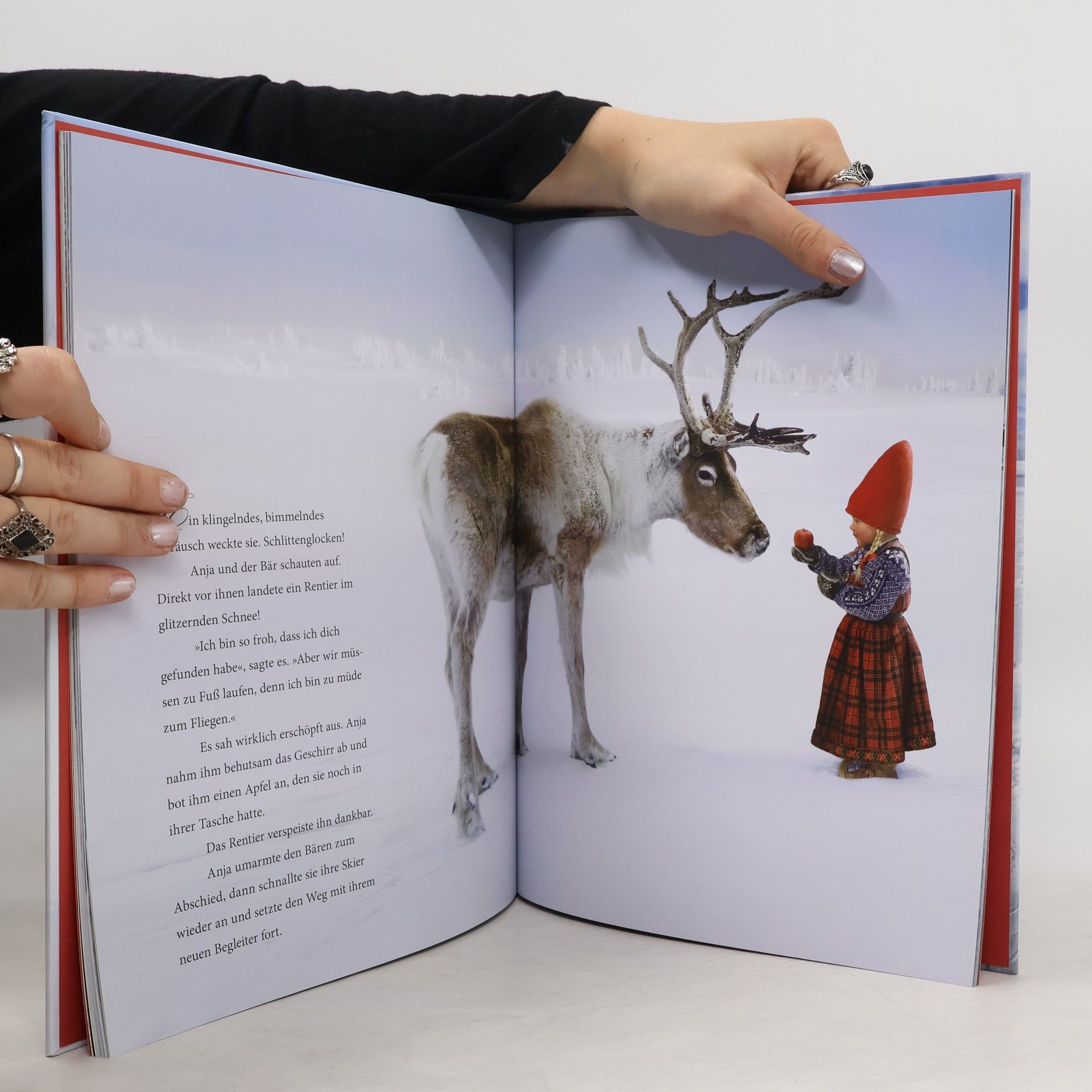 Lori Evert Die wunderbare Weihnachtsreise