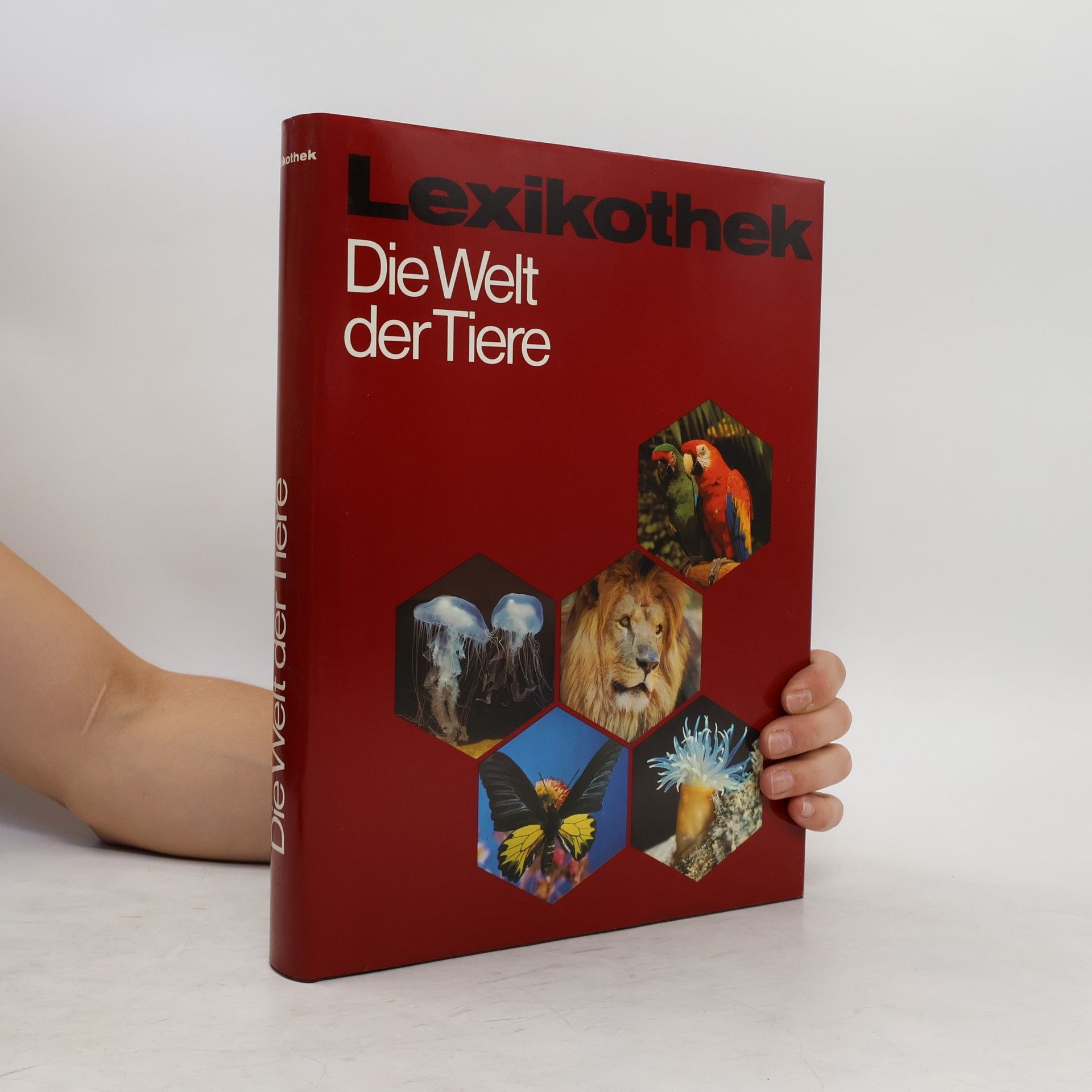 Gudrun Meise Die Welt der Tiere