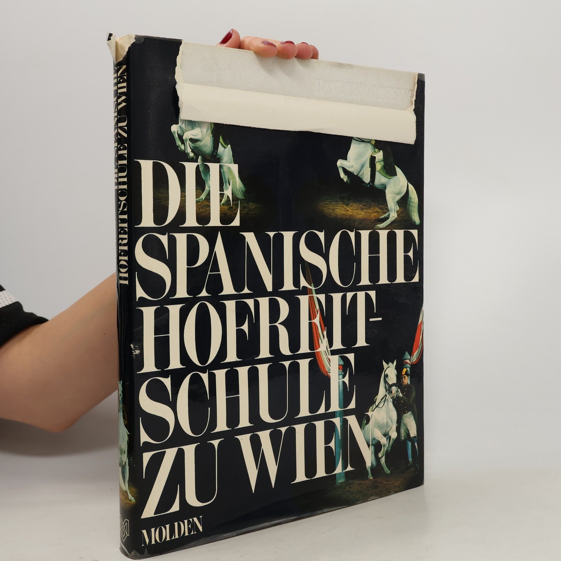 Auteurscollectief Die Spanische Hofreitschule zu Wien
