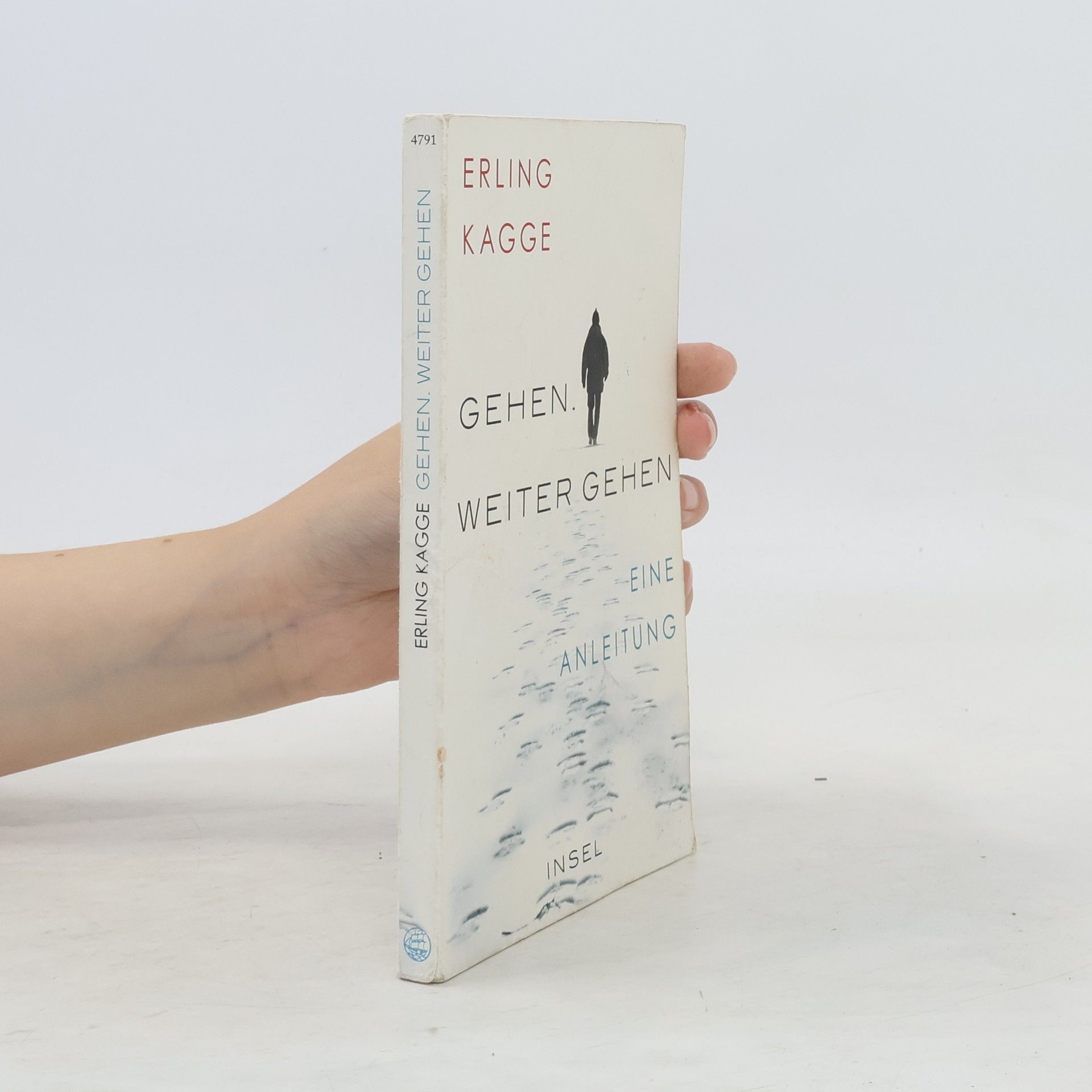 Erling Kagge Gehen. Weiter gehen