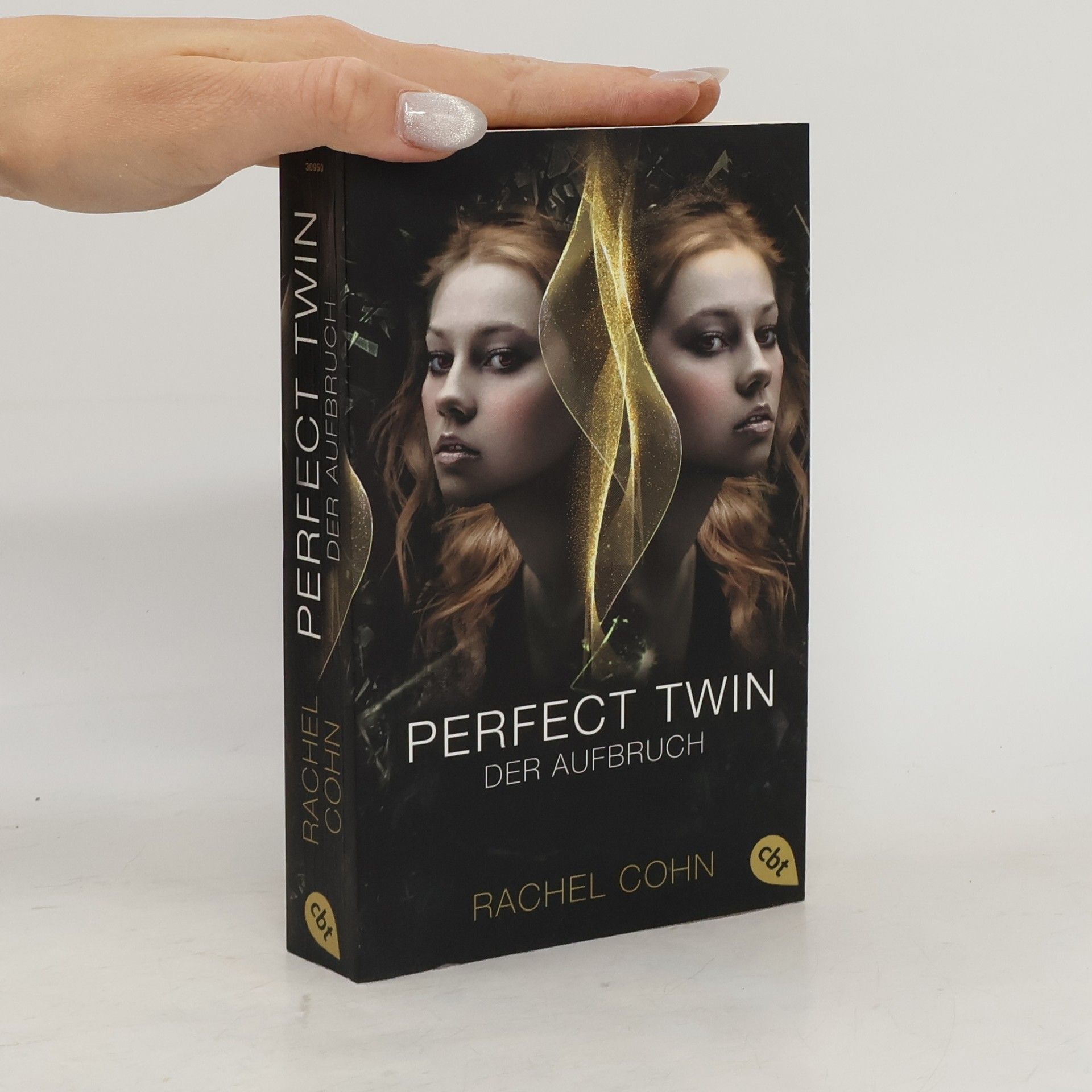 Rachel Cohn Perfect Twin - der Aufbruch
