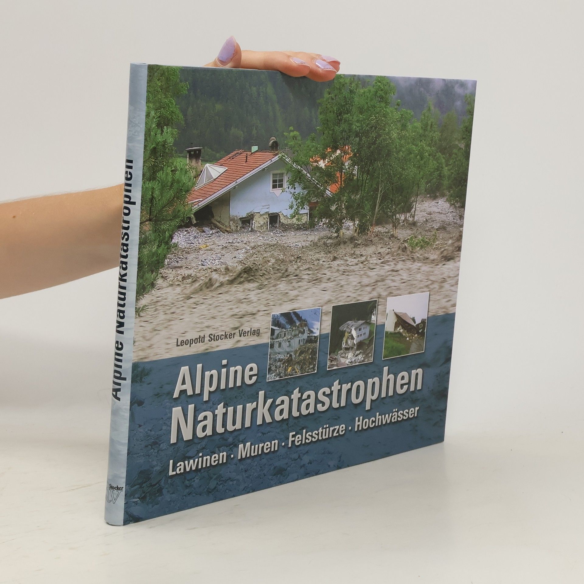 Florian Rudolf-Miklau Alpine Naturkatastrophen