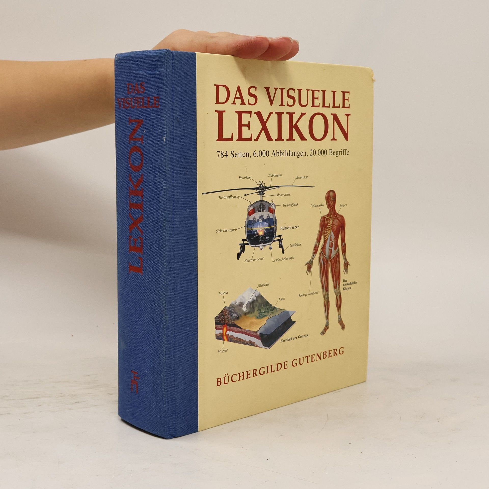 Luisa Caruso Das visuelle Lexikon