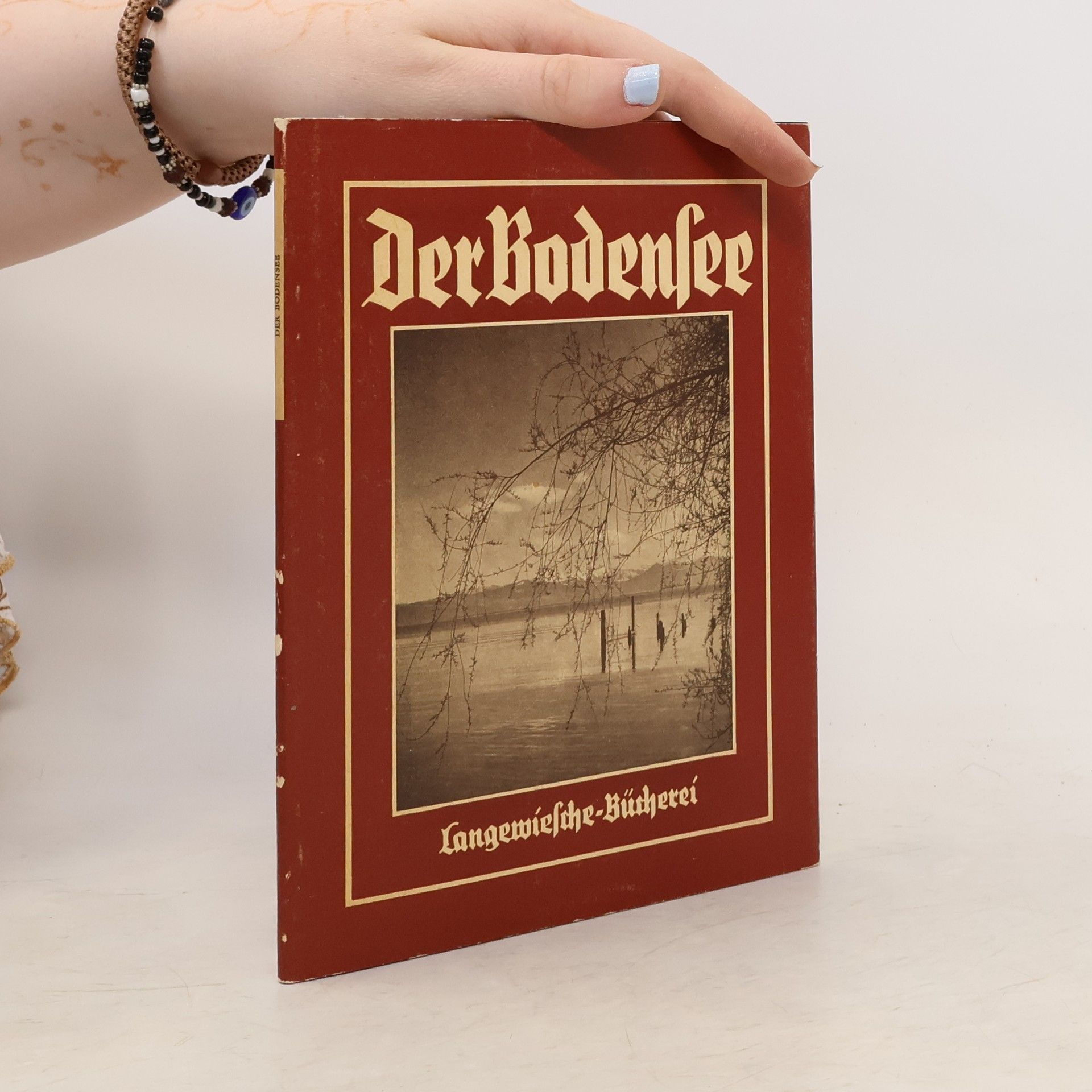 Wilhelm von Scholz Der Bodensee in 47 Bildern
