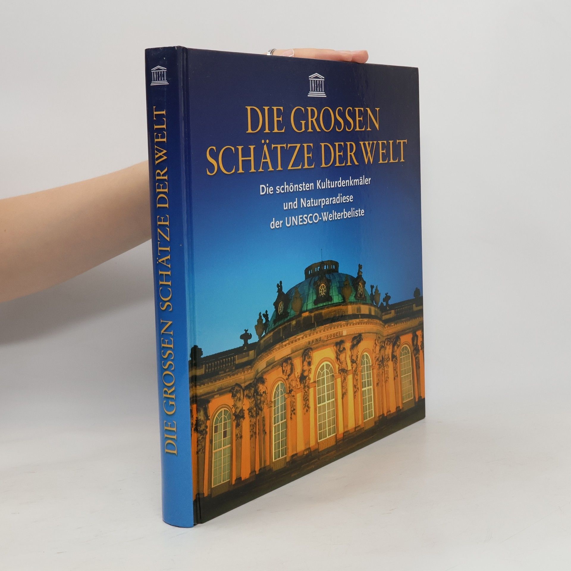 Autorenkollektiv Die Grossen Schätze der Welt