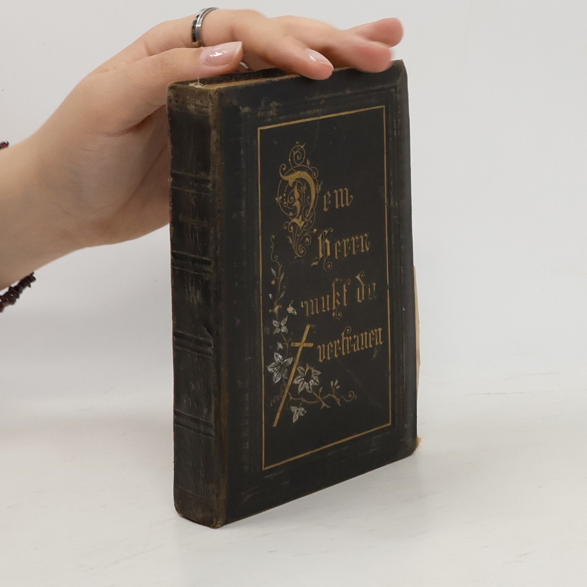 AA.VV. Dem Herrn mußt du vertrauen