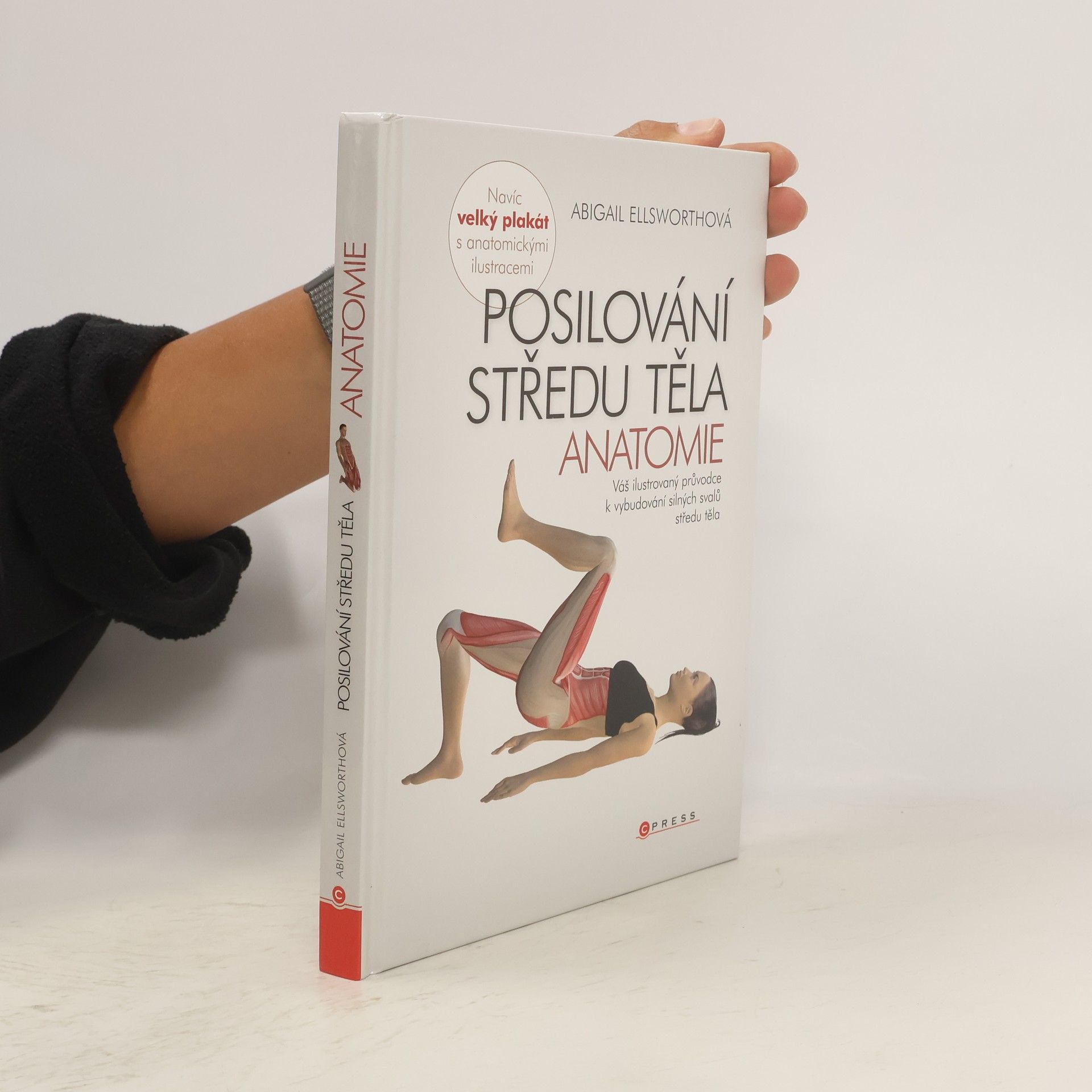 Posilování středu těla - anatomie