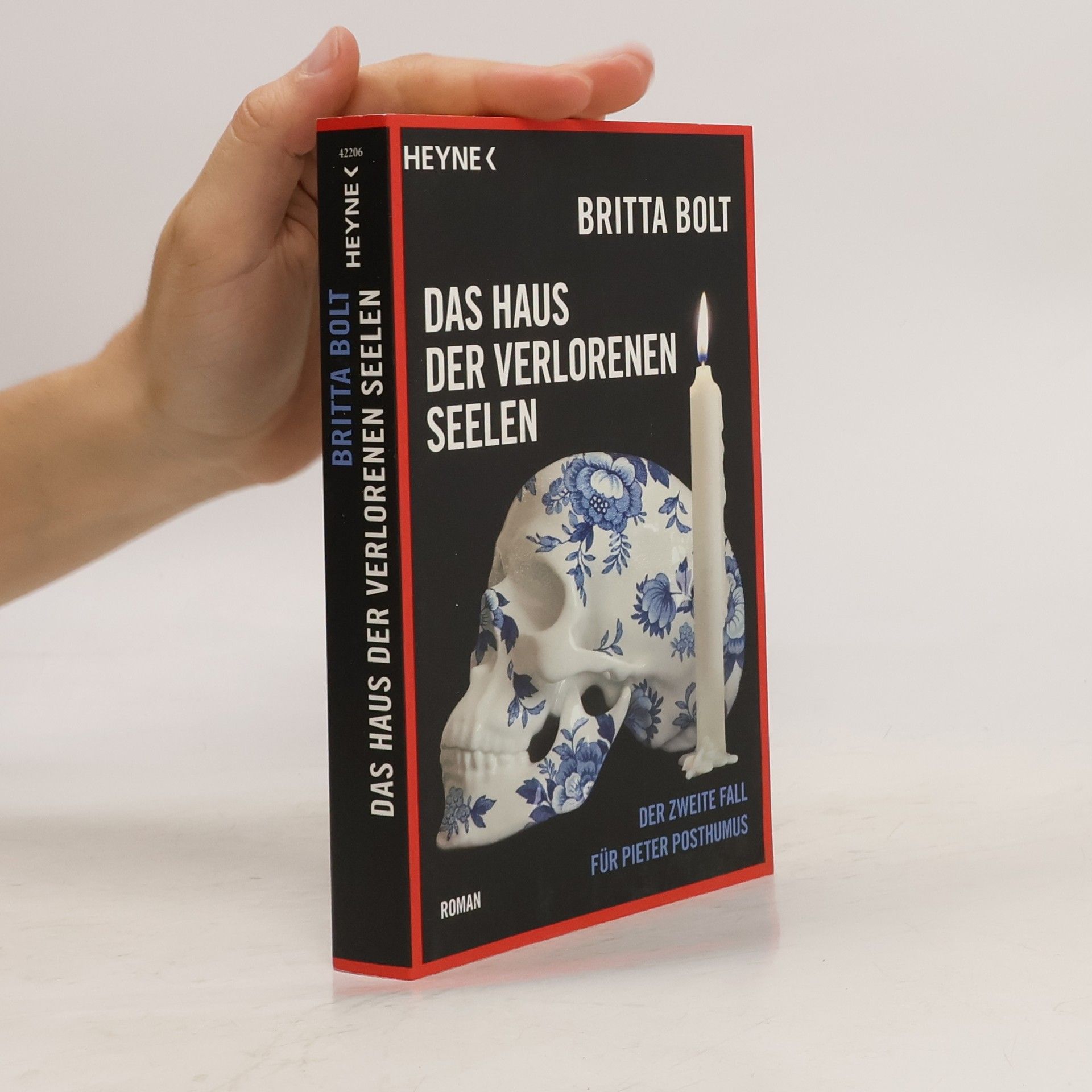 Britta Bolt Das Haus der verlorenen Seelen