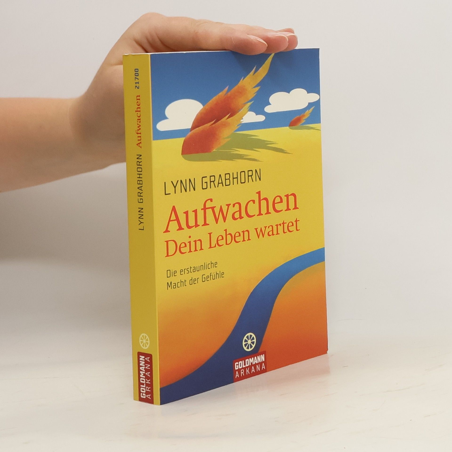Lynn Grabhorn Aufwachen. Dein Leben wartet