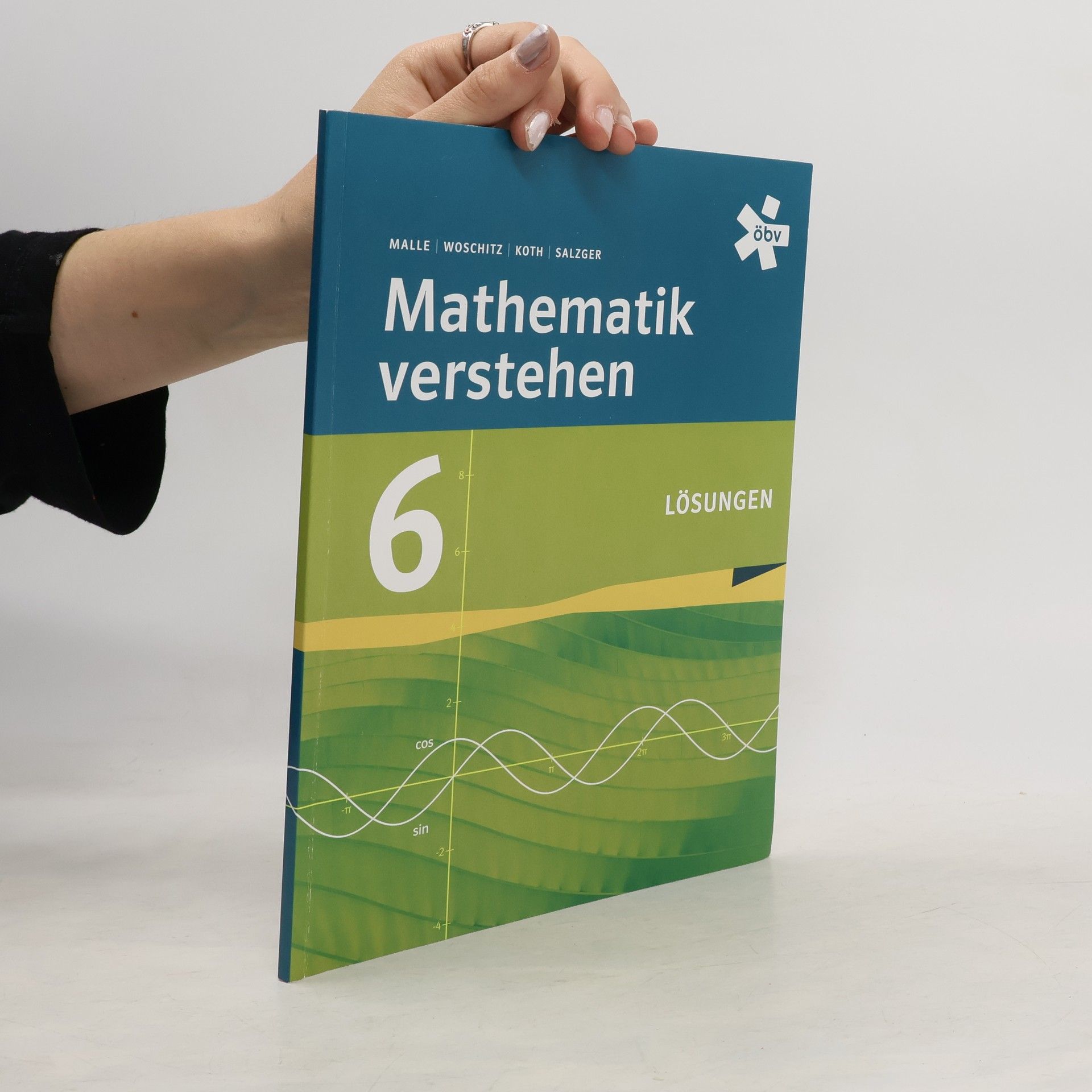 Kolektív autorov Mathematik Verstehen