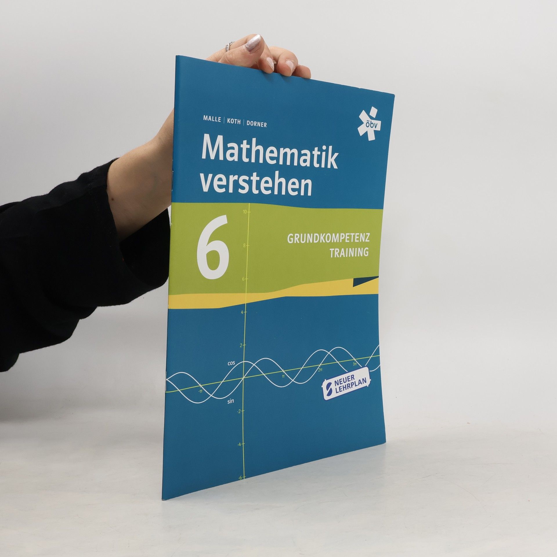 Günther Malle Mathematik verstehen 6 Grundkompetenztraining