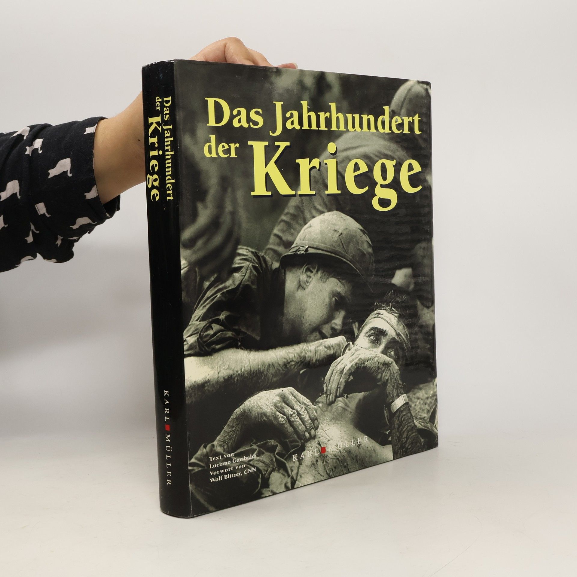 Valeria Manferto Das Jahrhundert der Kriege