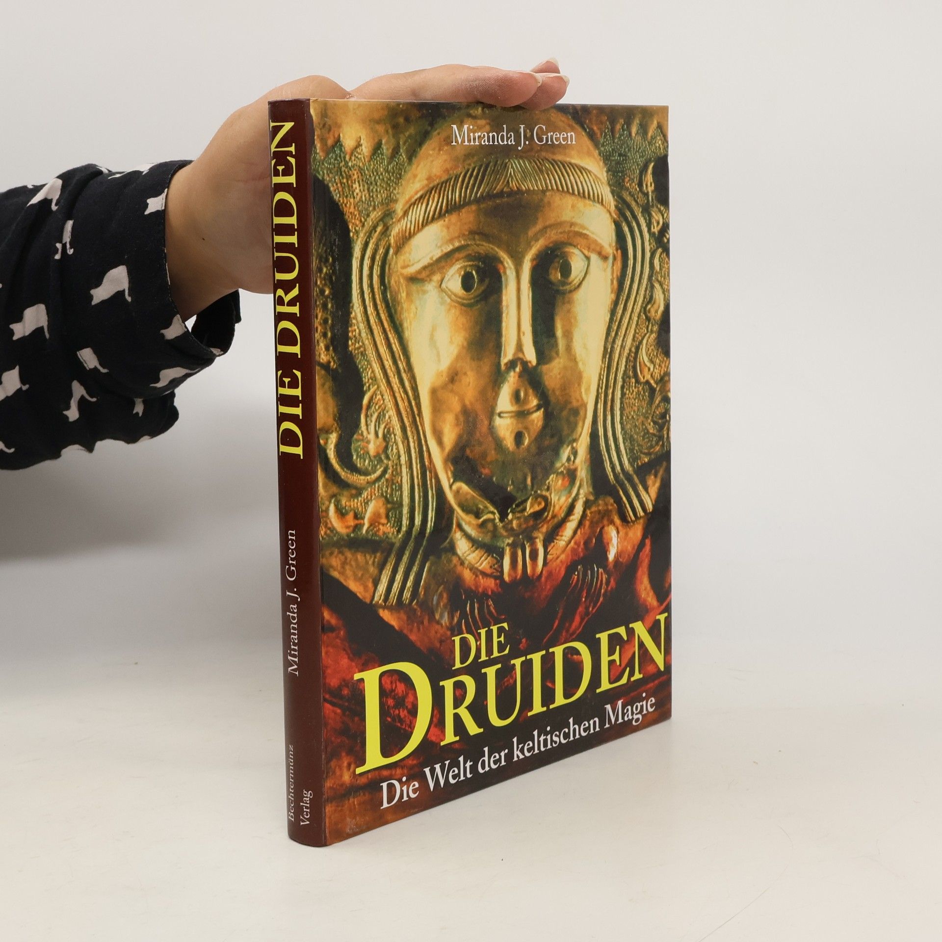 Miranda J. Green Die Druiden