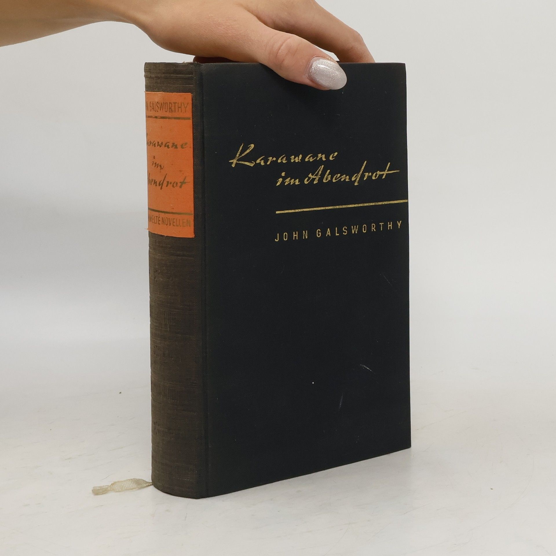 John Galsworthy Karawane im Abendrot