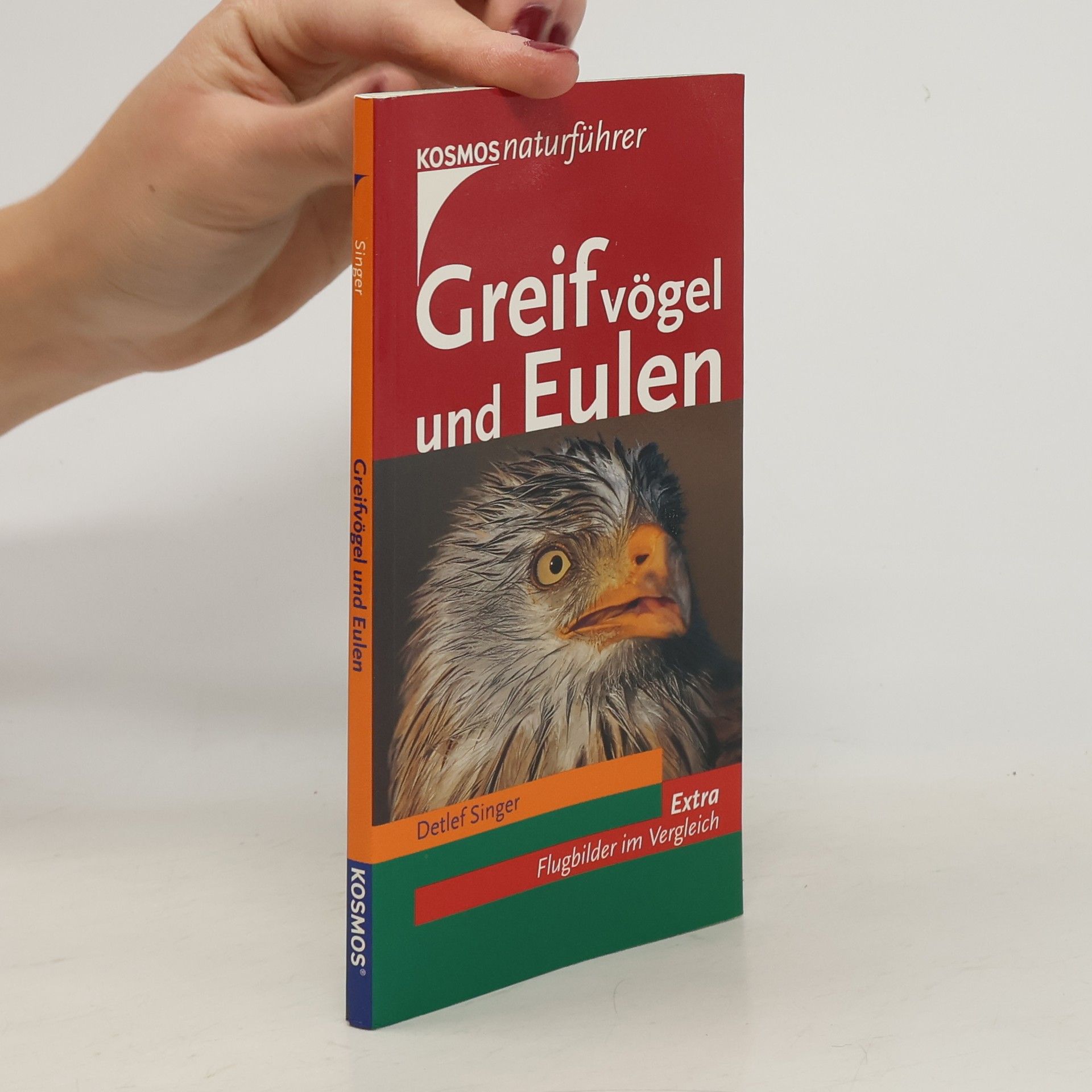 Detlef Singer Greifvögel und Eulen
