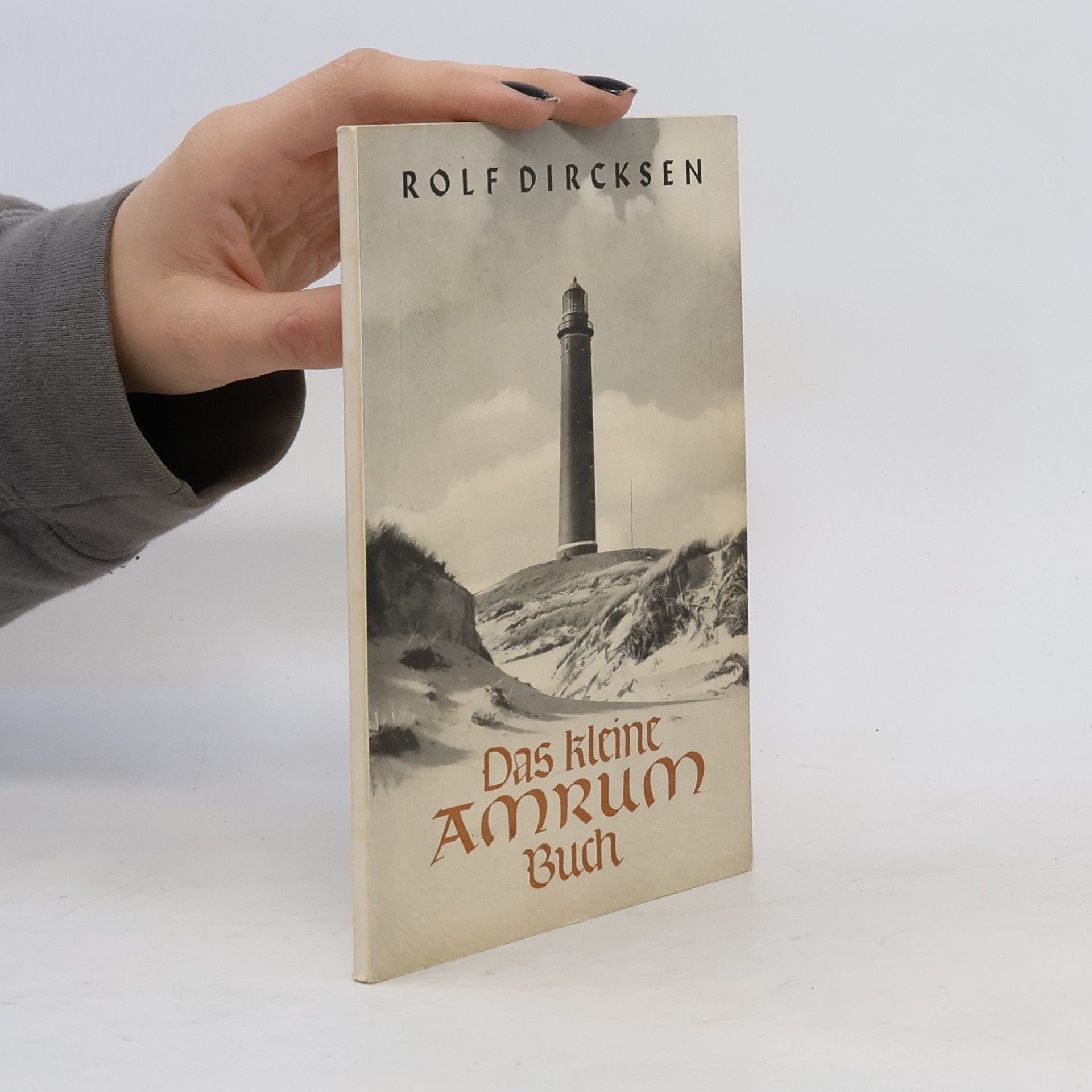 Rolf Dircksen Das kleine Amrum-Buch
