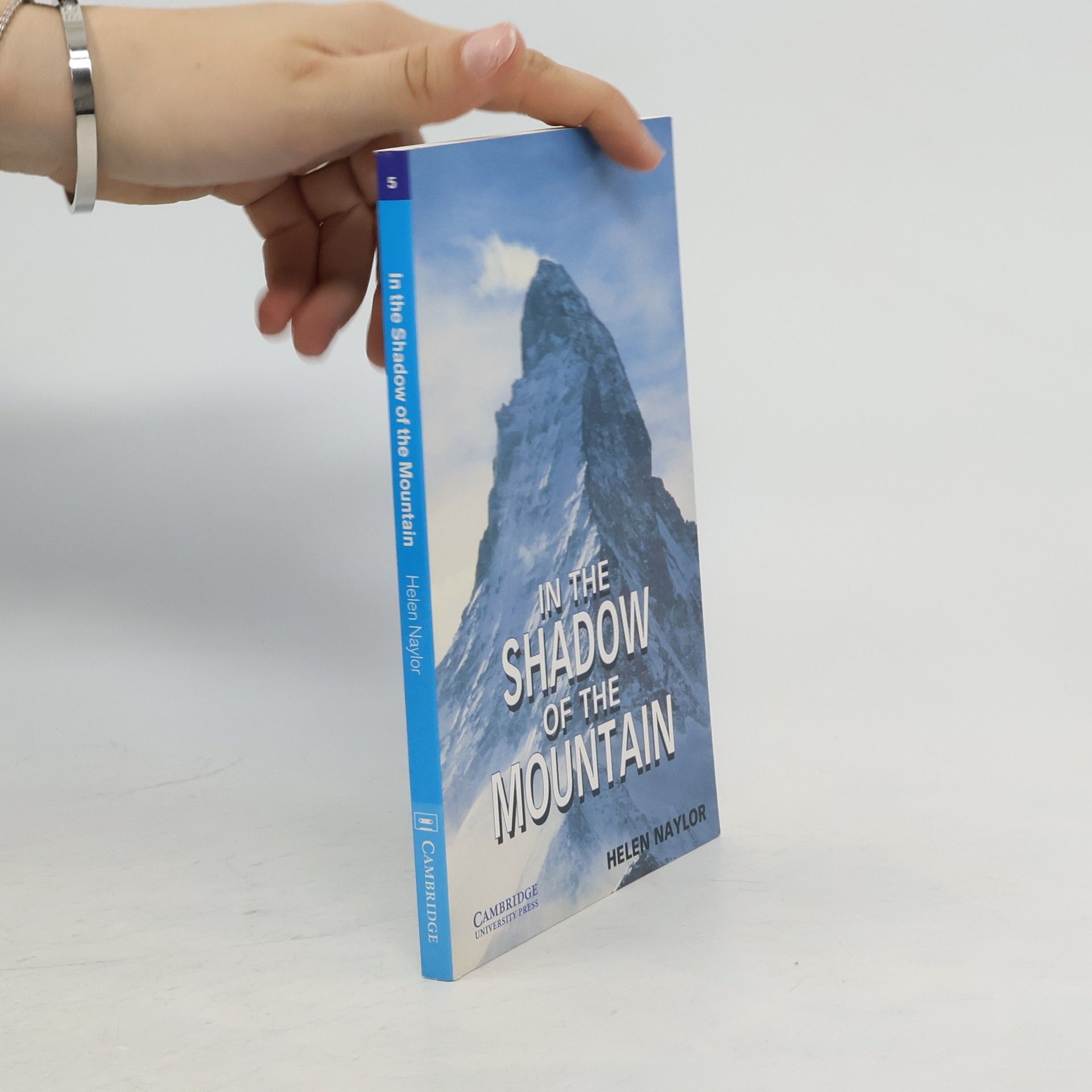 Helen Naylor In the shadow of the mountain