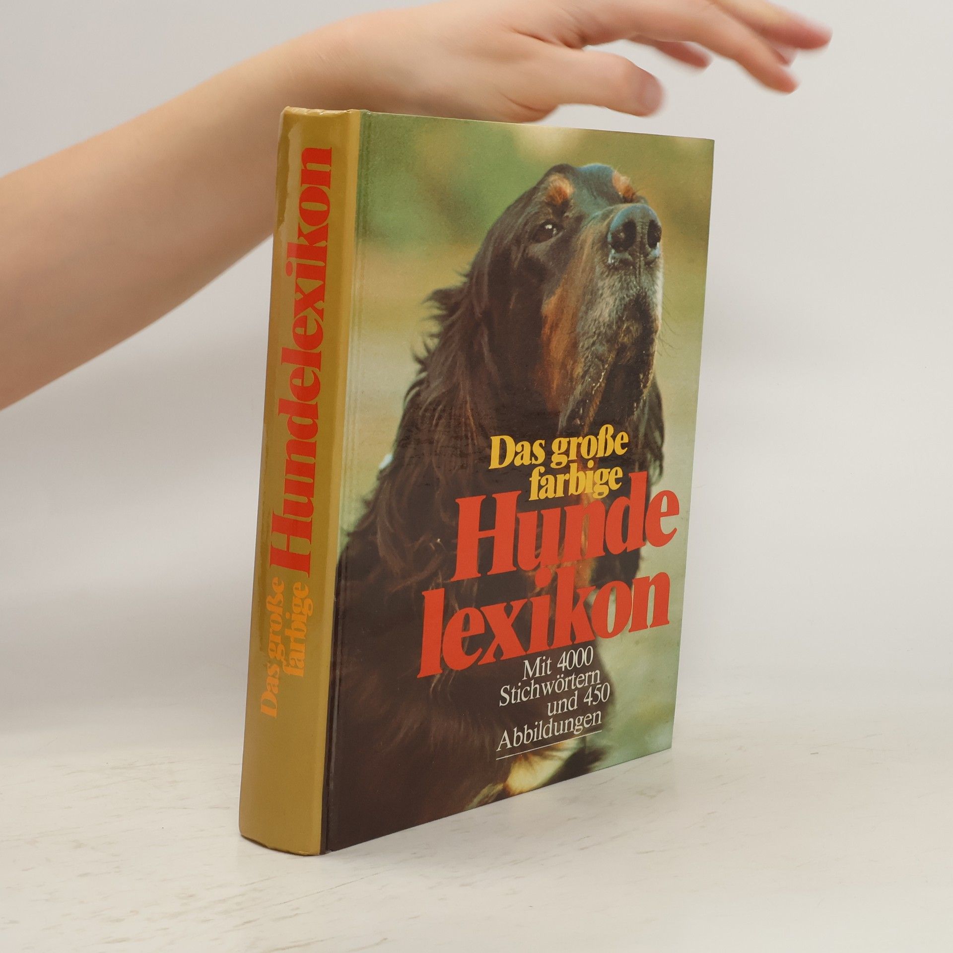 Autorenkollektiv Das große farbige Hunde lexikon