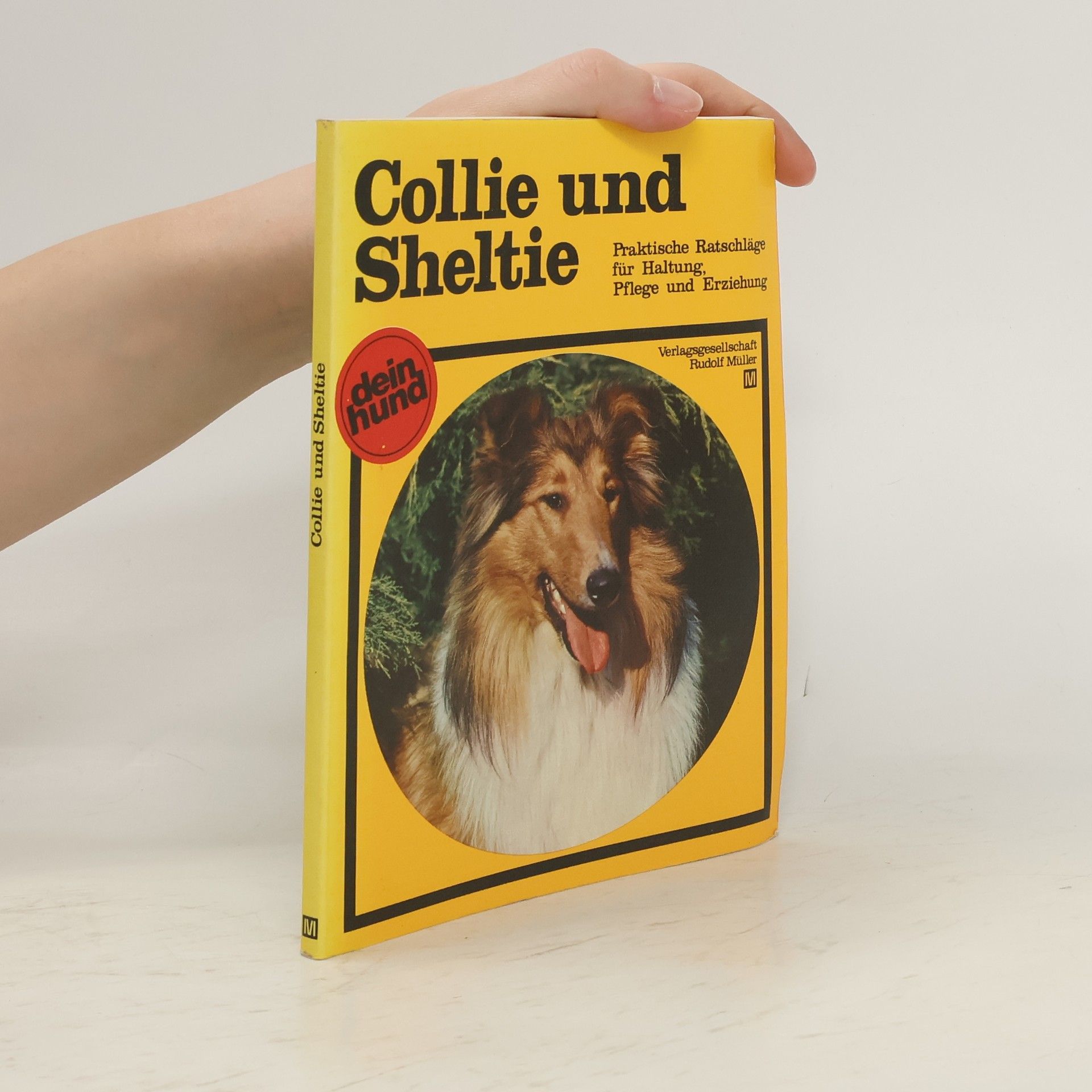 Klaus-Peter Zimmer Collie und Sheltie