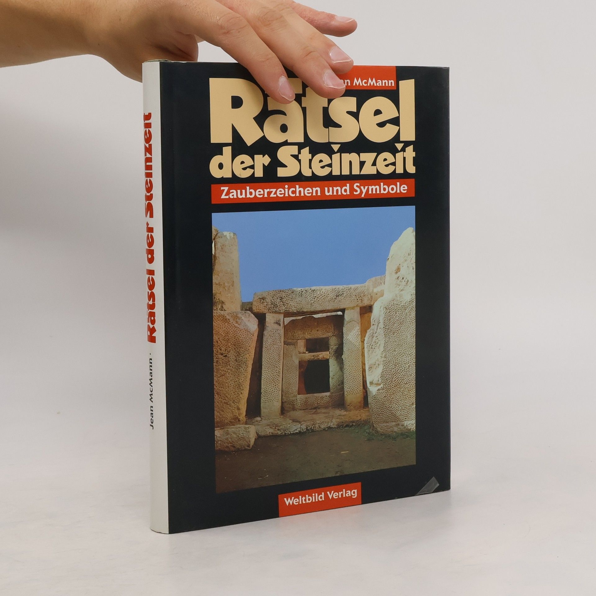 Jean McMann Rätsel der Steinzeit