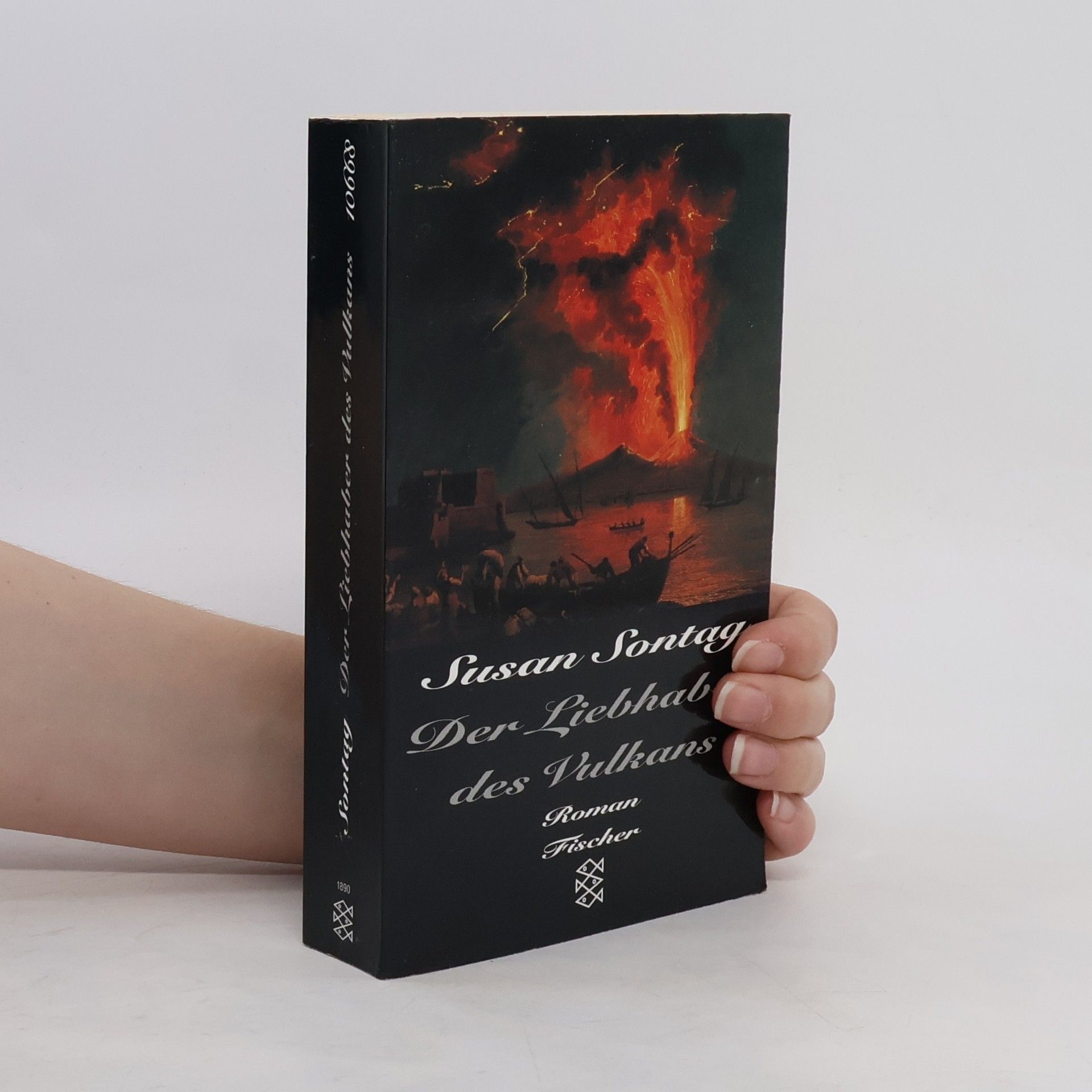 Susan Sontag Der Liebhaber des Vulkans