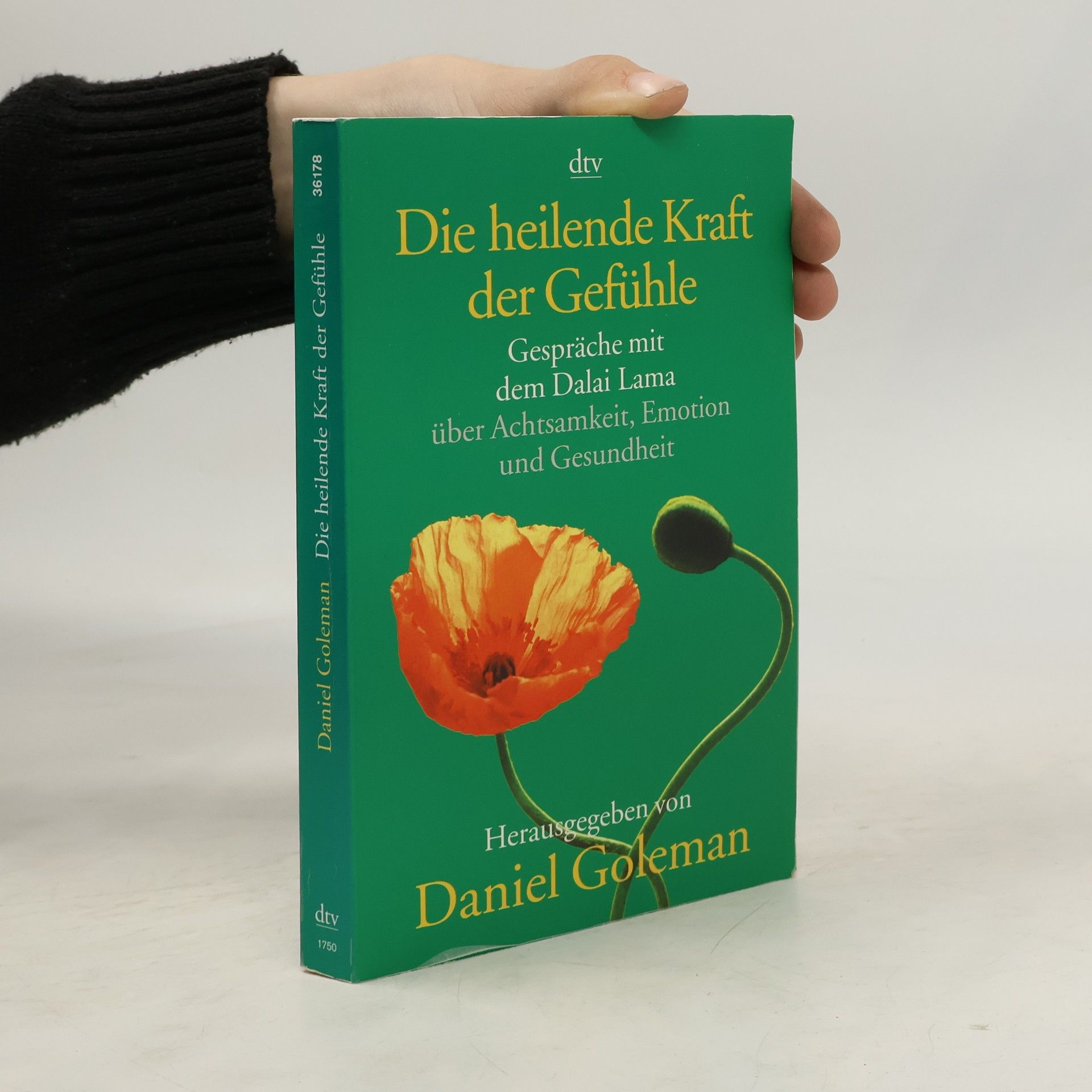 Bstan-vdzin-rgya-mtsho Die heilende Kraft der Gefühle