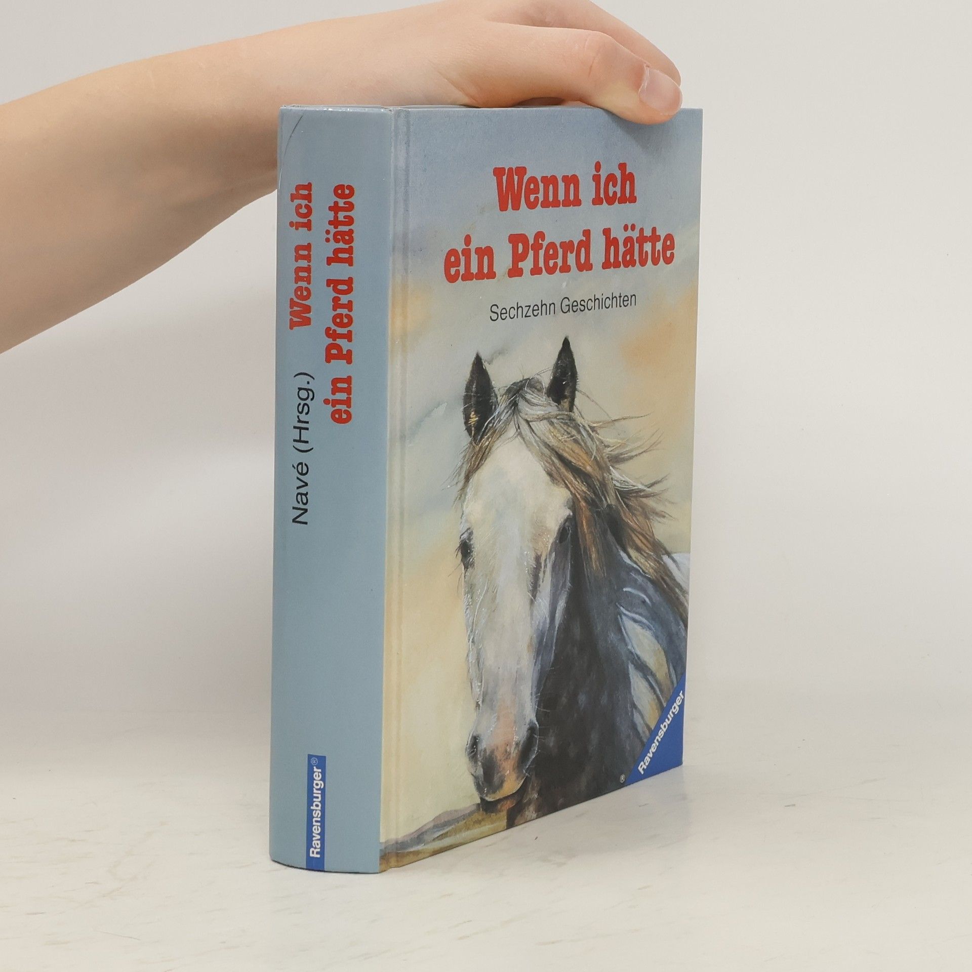 Renate Navé Wenn ich ein Pferd hätte