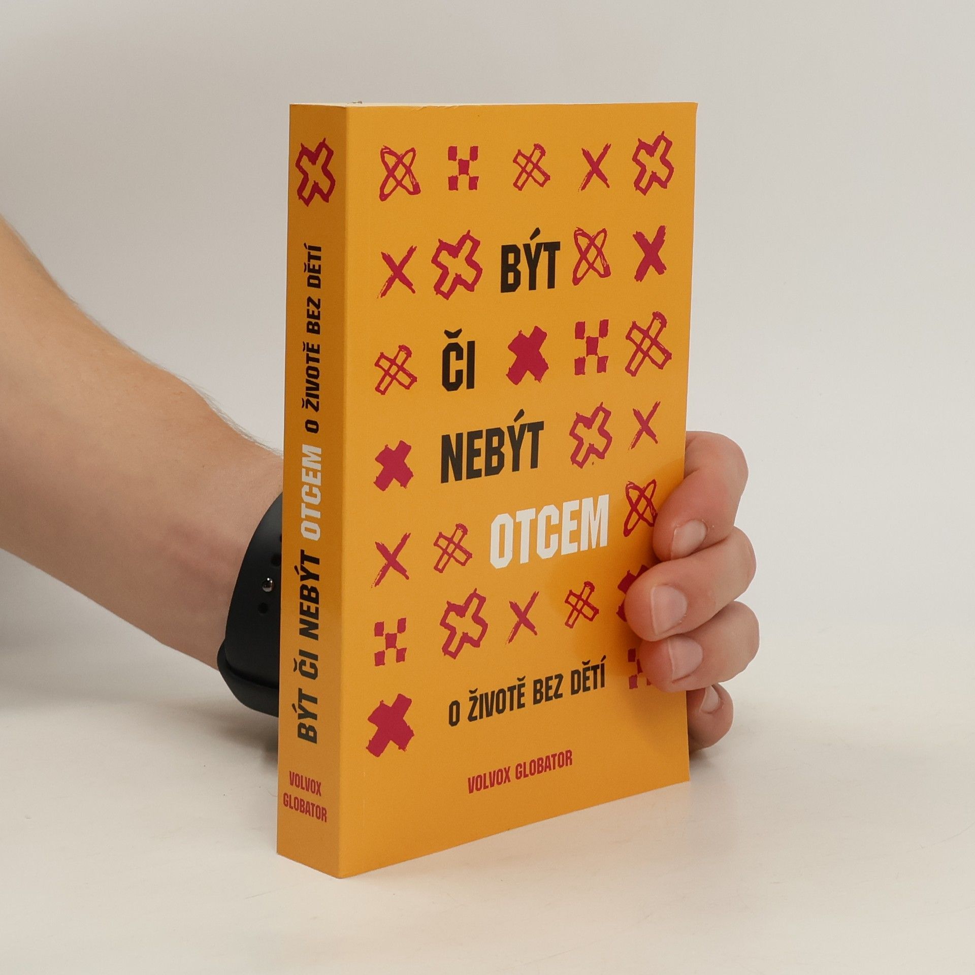 Autorenkollektiv Být či nebýt otcem: O životě bez dětí