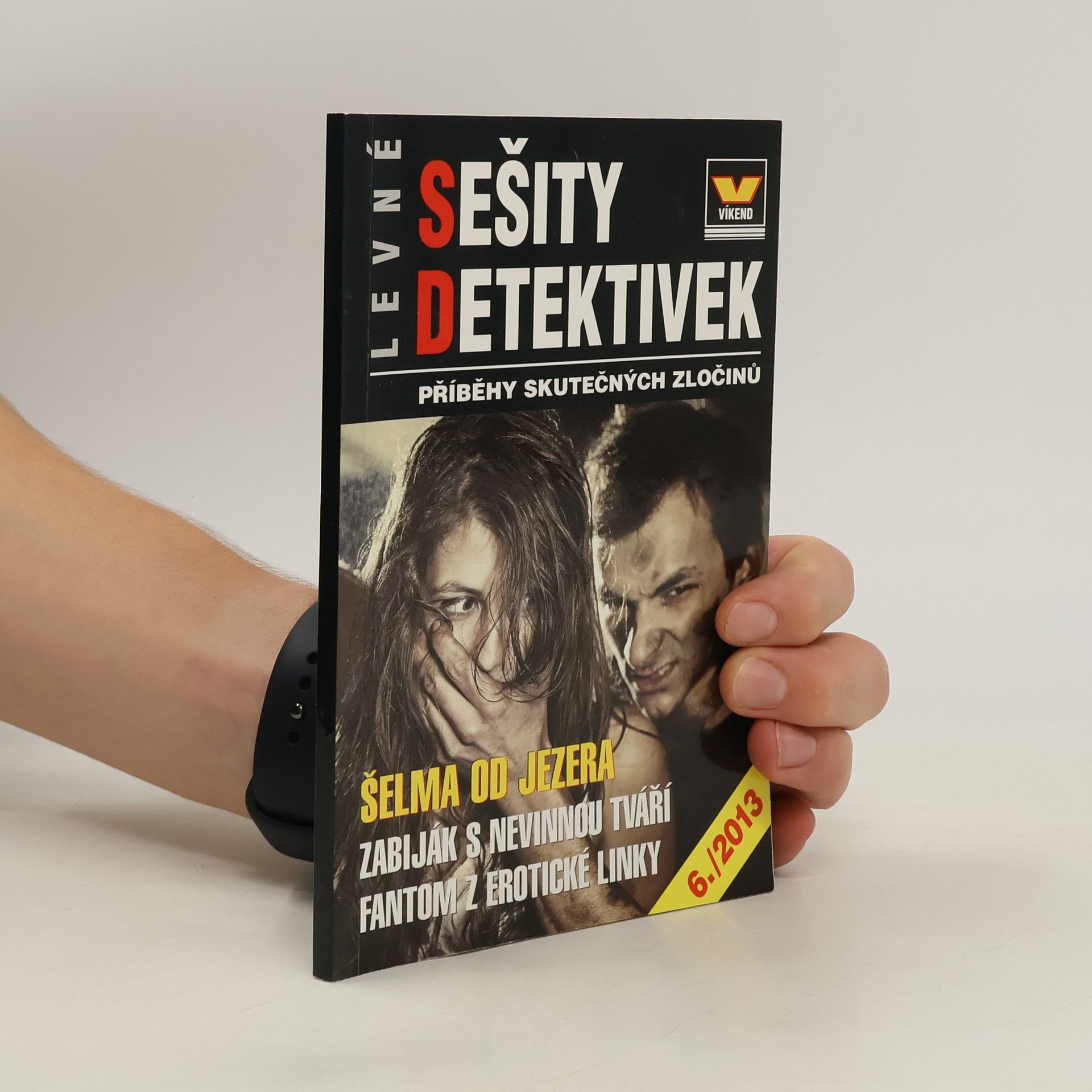 kolektiv Levné sešity detektivek. Příběhy skutečných zločinů. Šelma od jezera. 6/2013