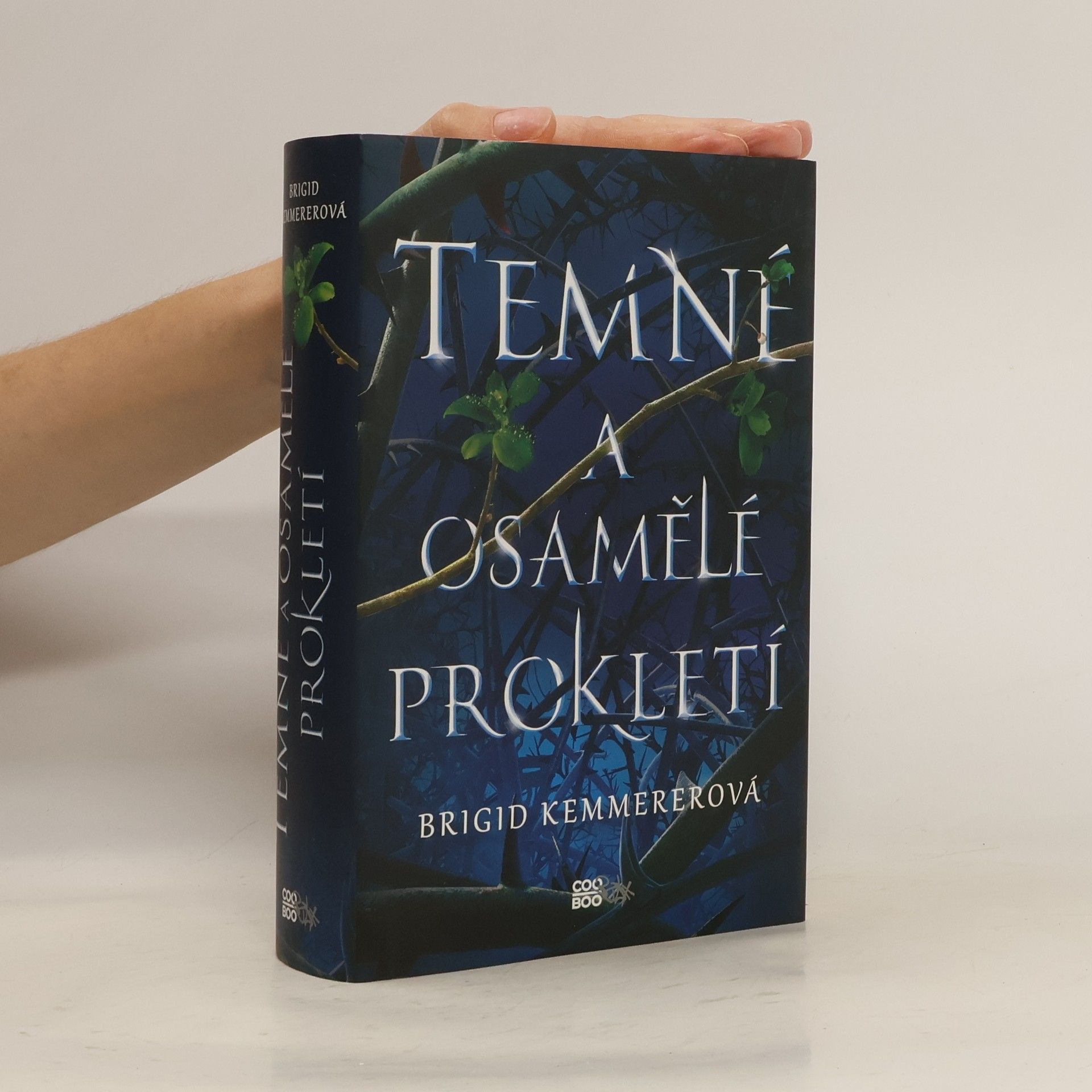 Brigid Kemmerer Temné a osamělé prokletí
