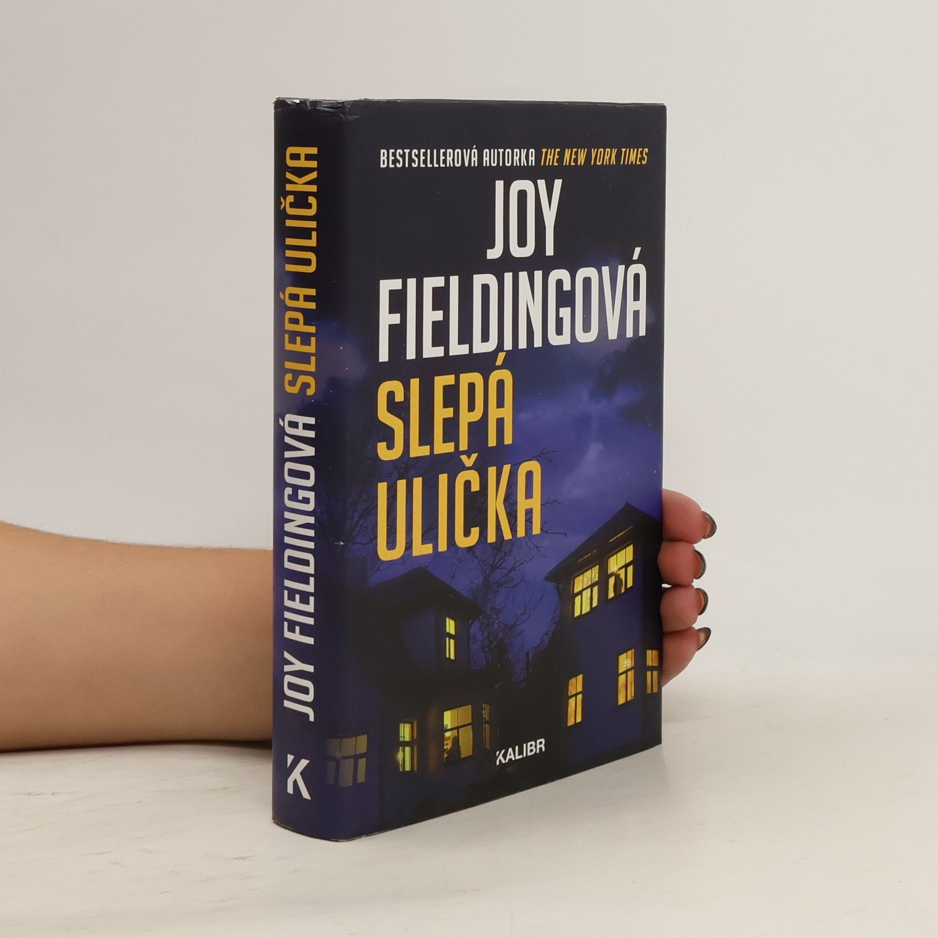 Joy Fielding Slepá ulička