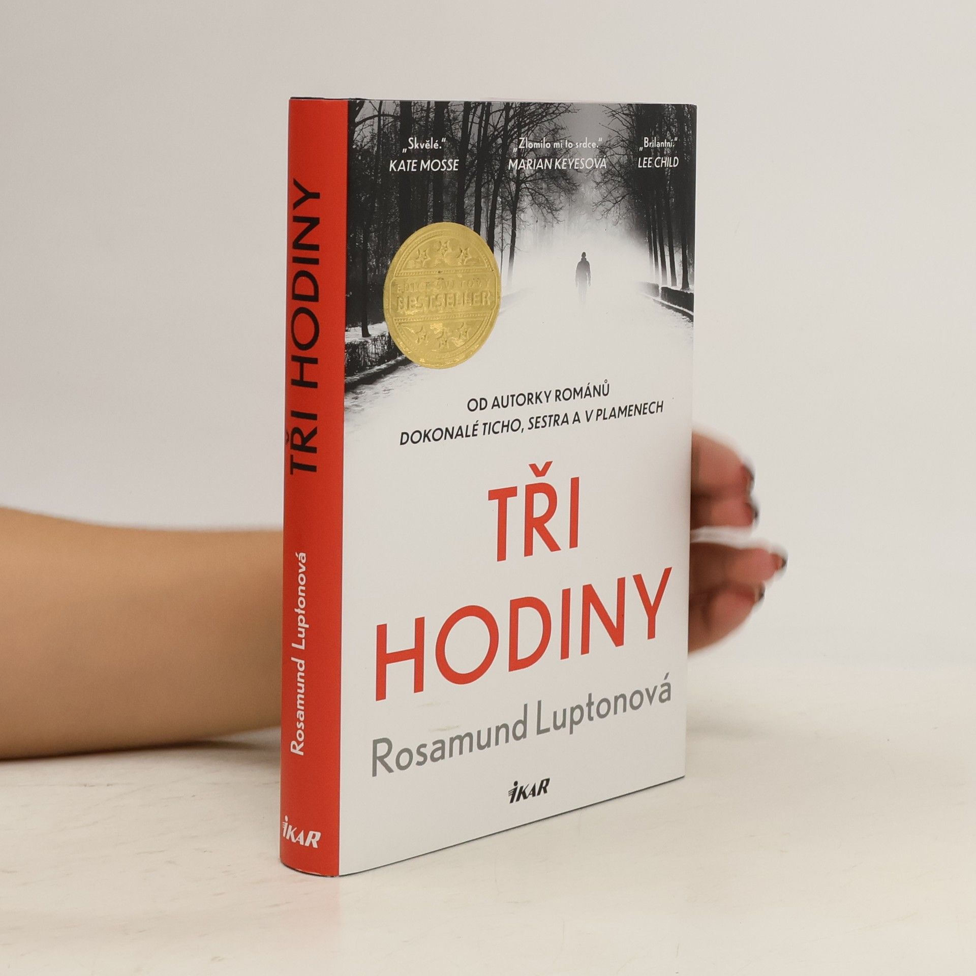 Rosamund Lupton Tři hodiny