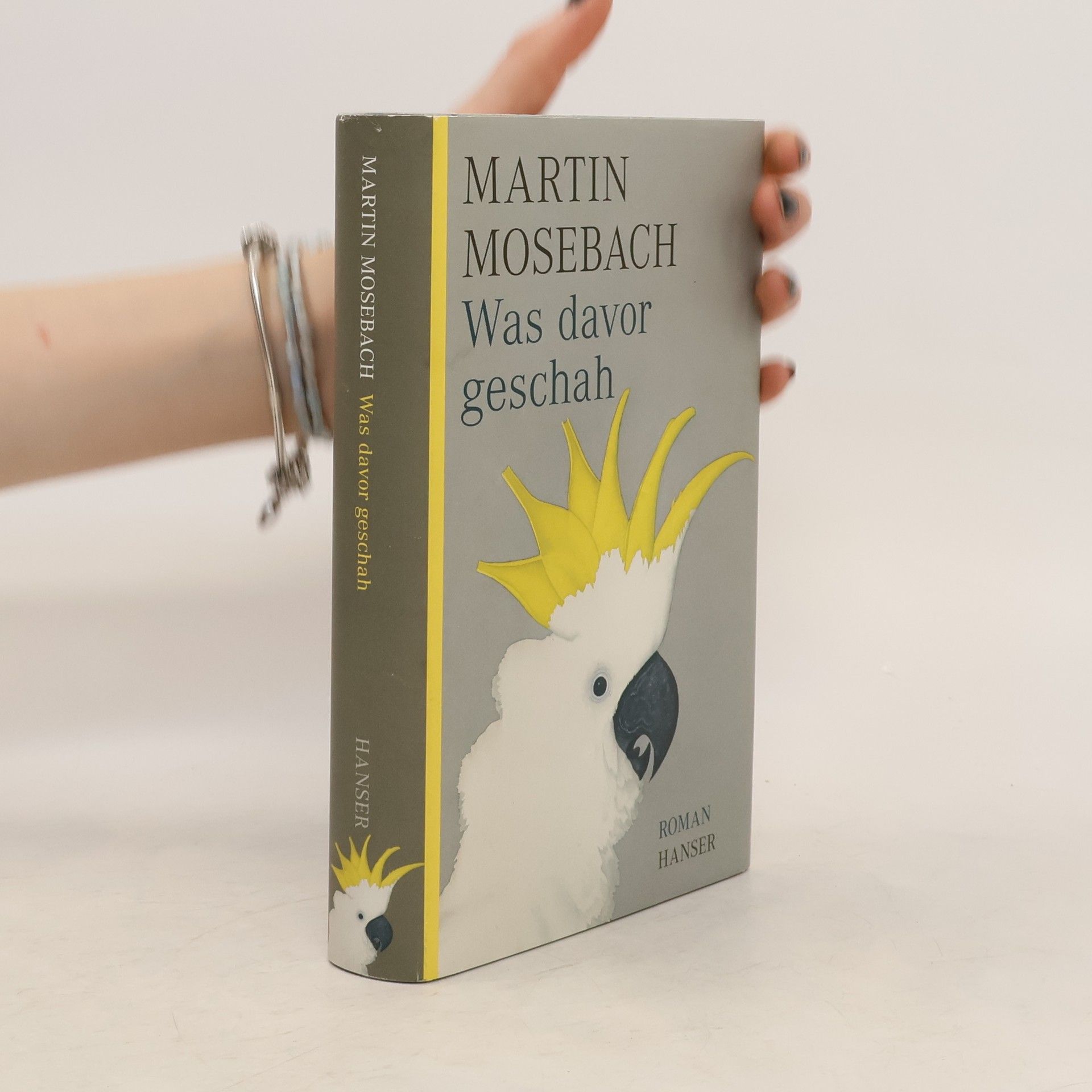 Martin Mosebach Was davor geschah