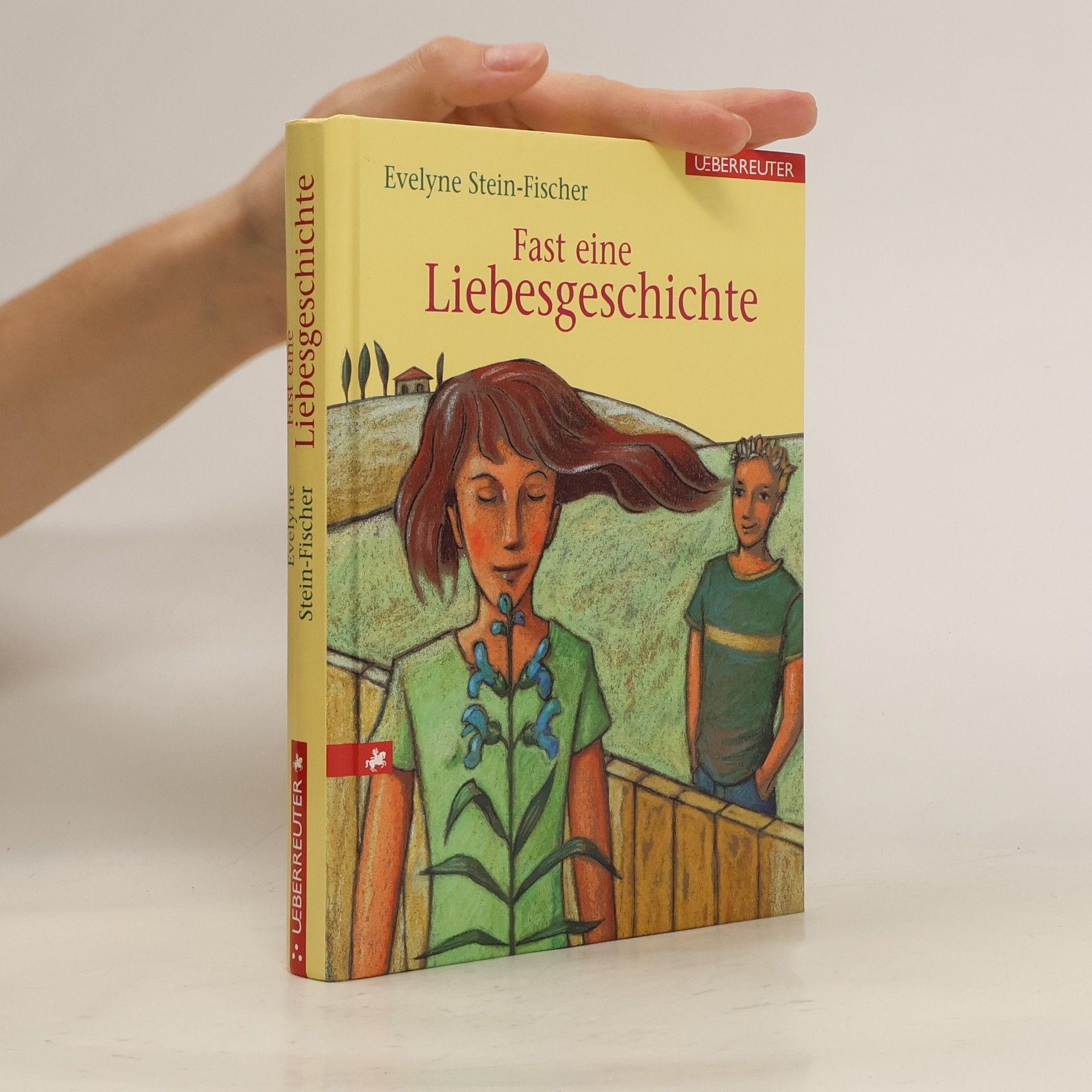 Evelyne Stein-Fischer Fast eine Liebesgeschichte