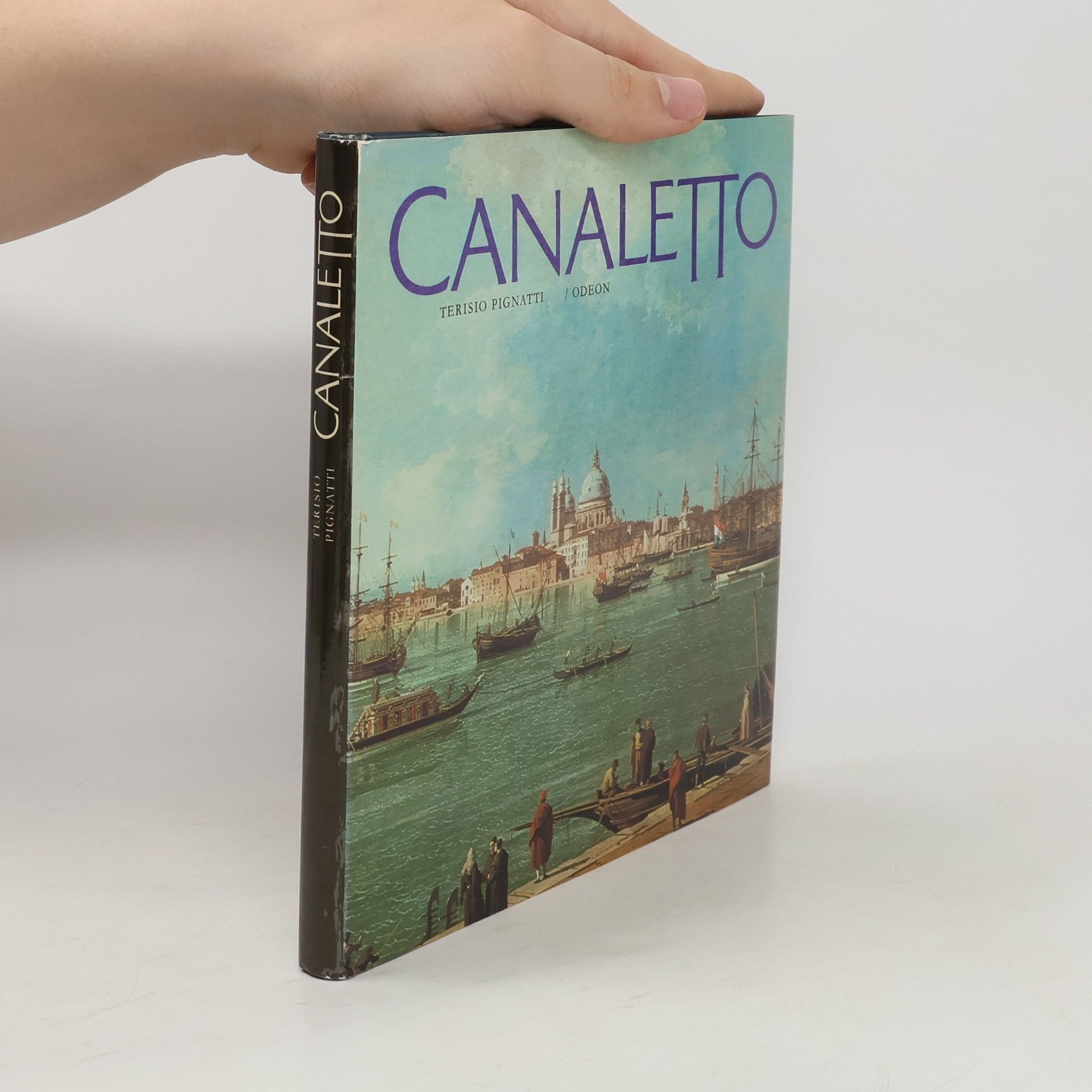 Terisio Pignatti Canaletto