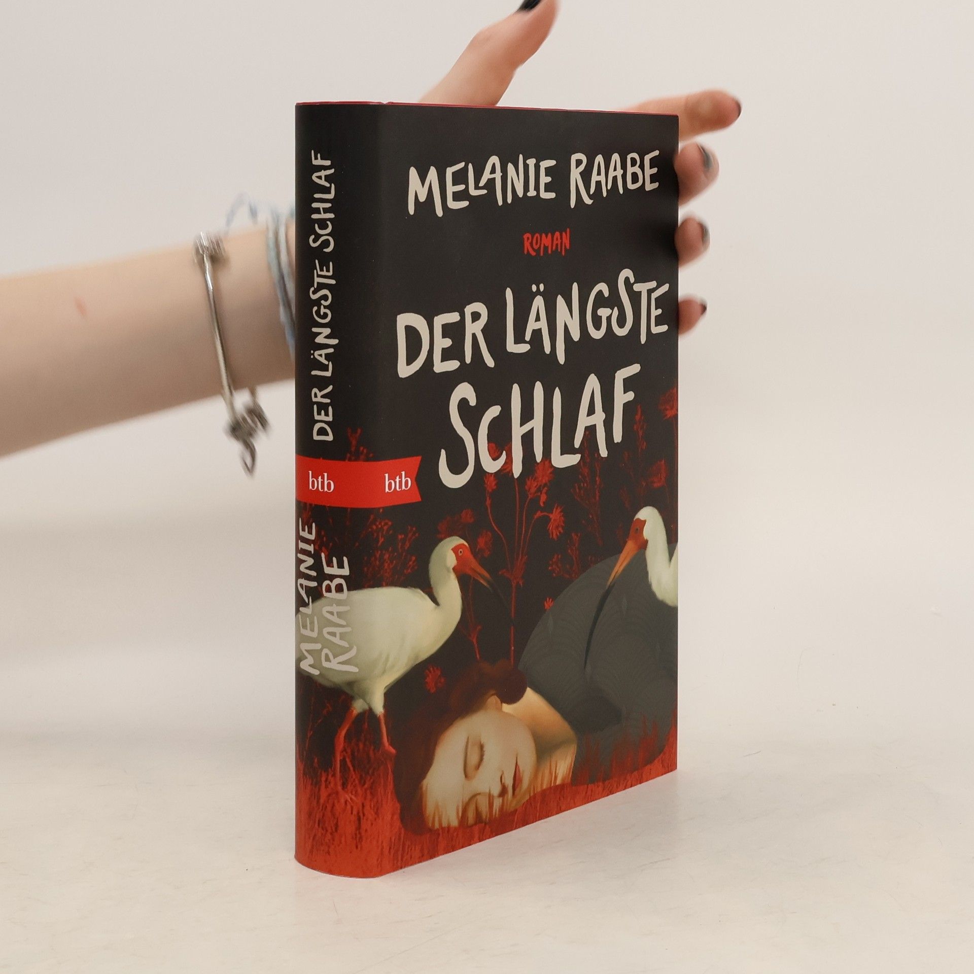 Melanie Raabe Der längste Schlaf. Roman