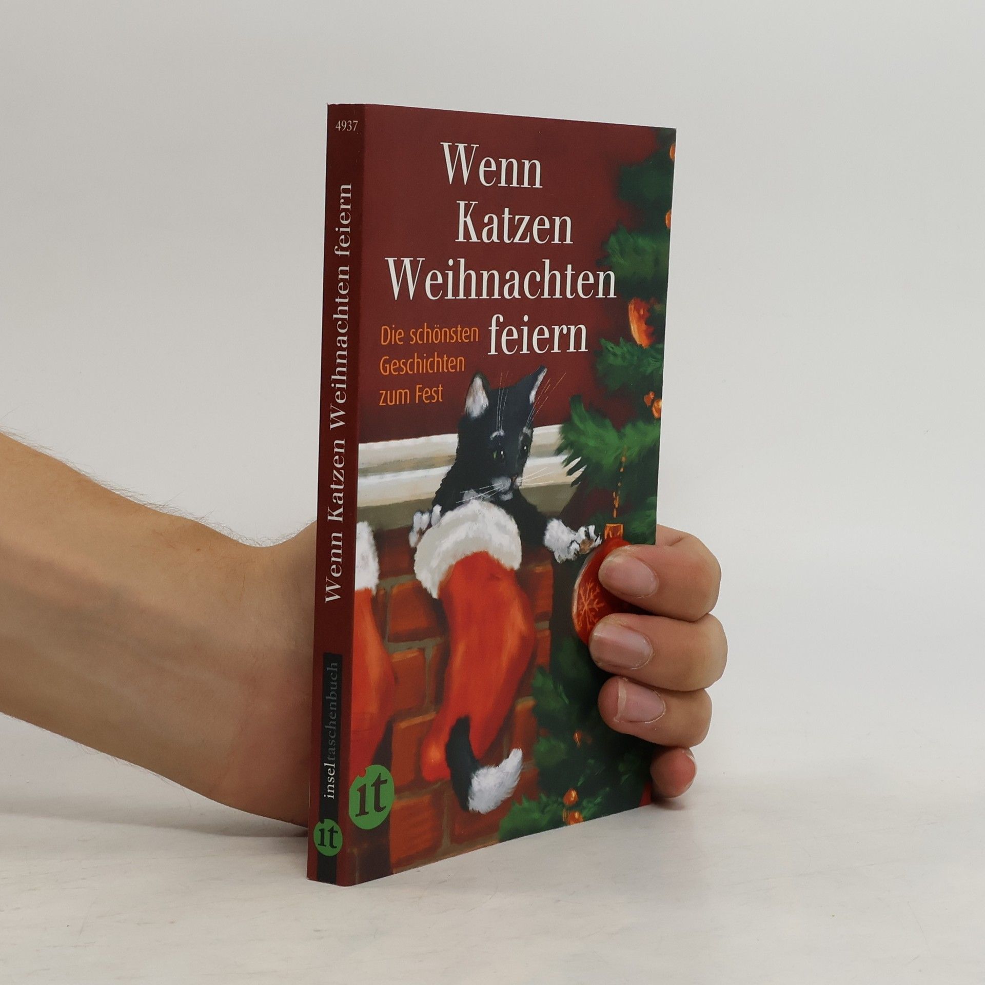 Gesine Dammel Wenn Katzen Weihnachten feiern