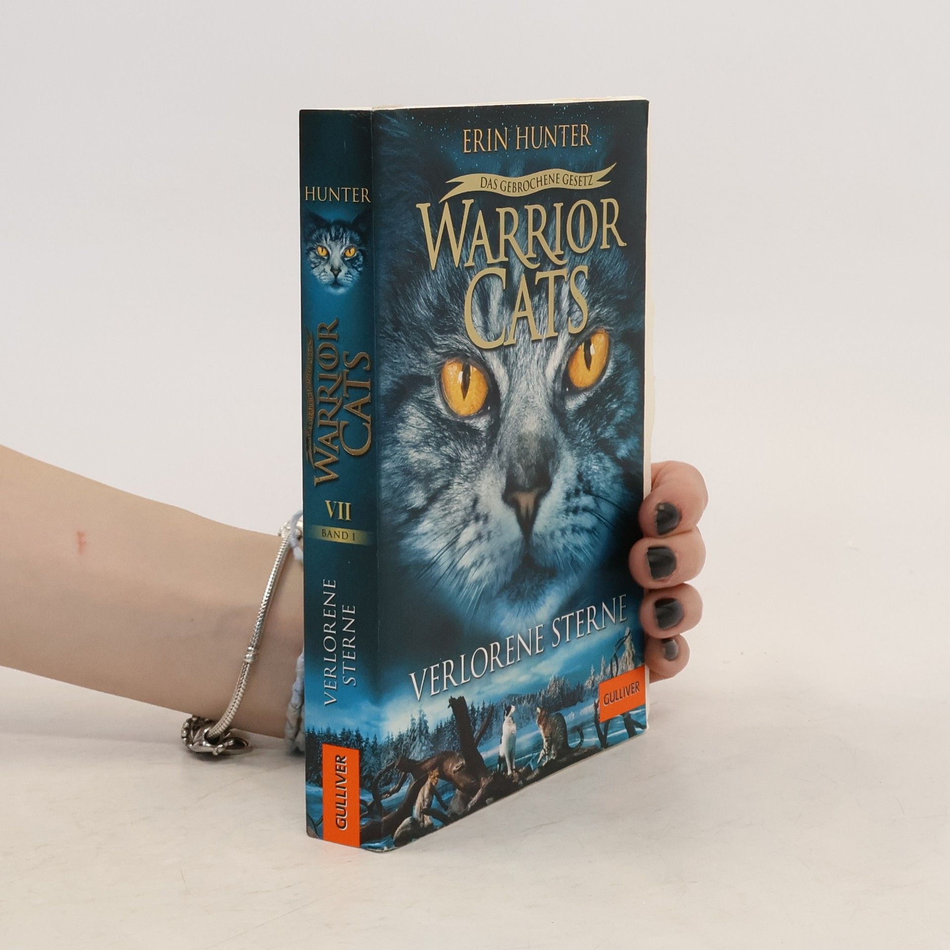 Erin Hunter Warrior Cats - Das gebrochene Gesetz. Verlorene Sterne