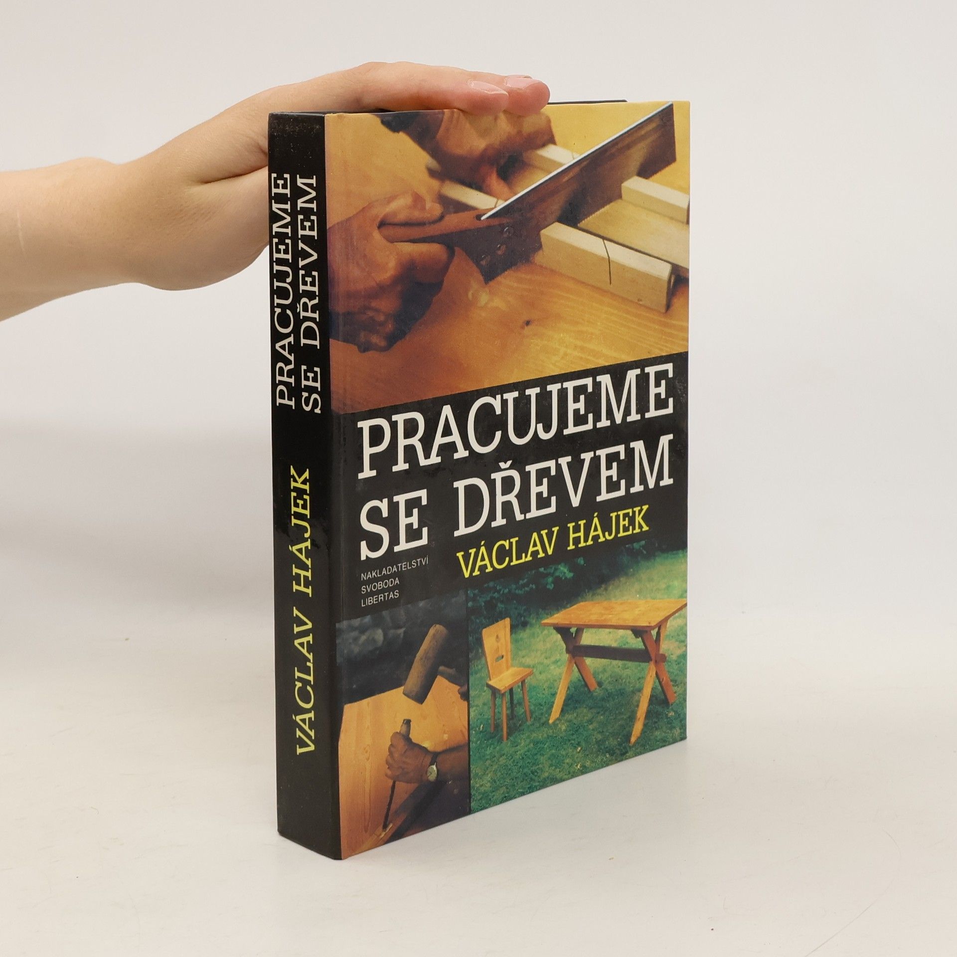 Václav Hájek Pracujeme se dřevem