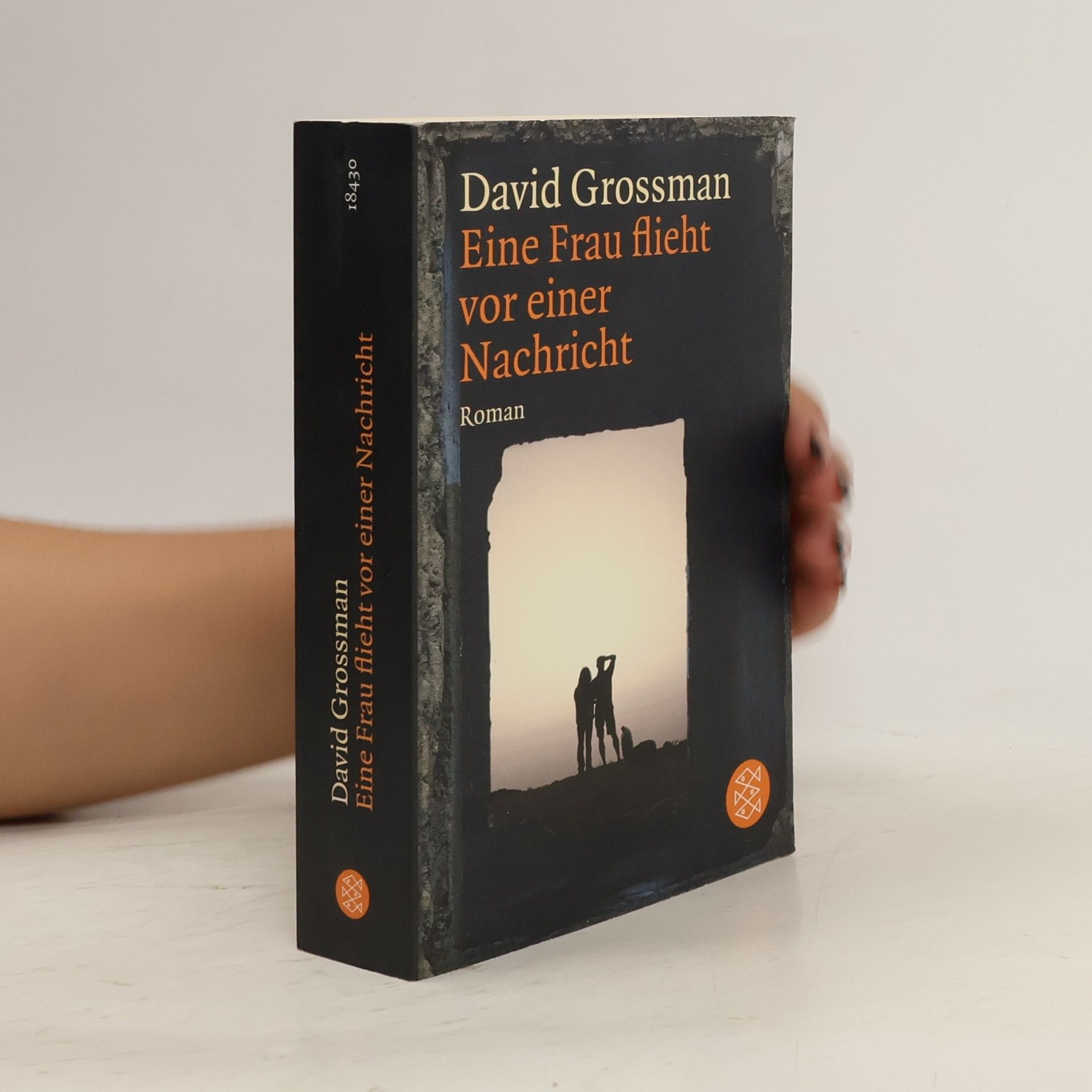 David Grossman Eine Frau flieht vor einer Nachricht