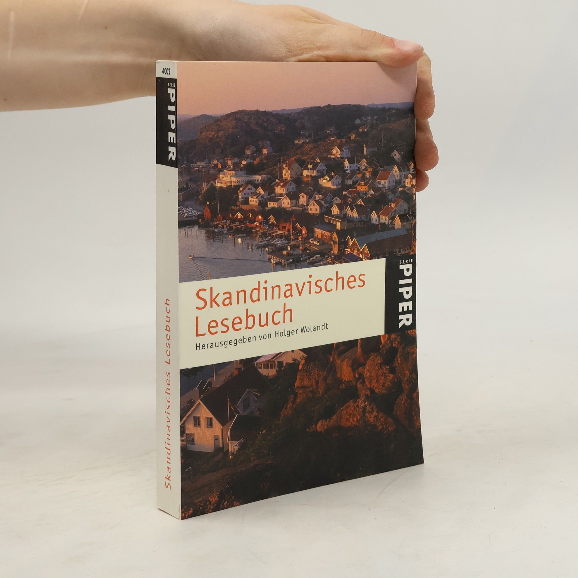 Holger Wolandt Skandinavisches Lesebuch