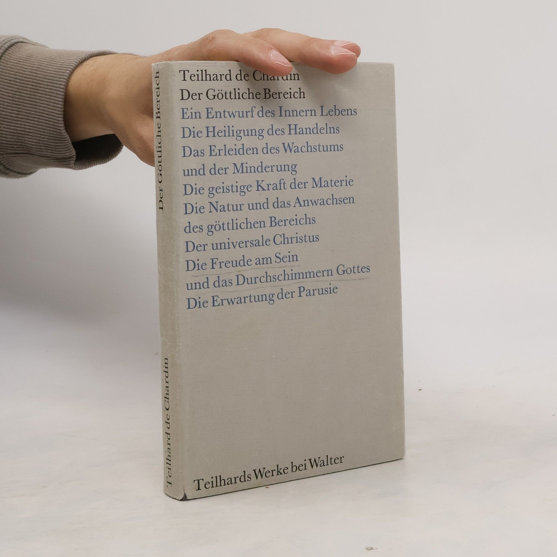 Teilhard de Chardin Der Göttliche Bereich