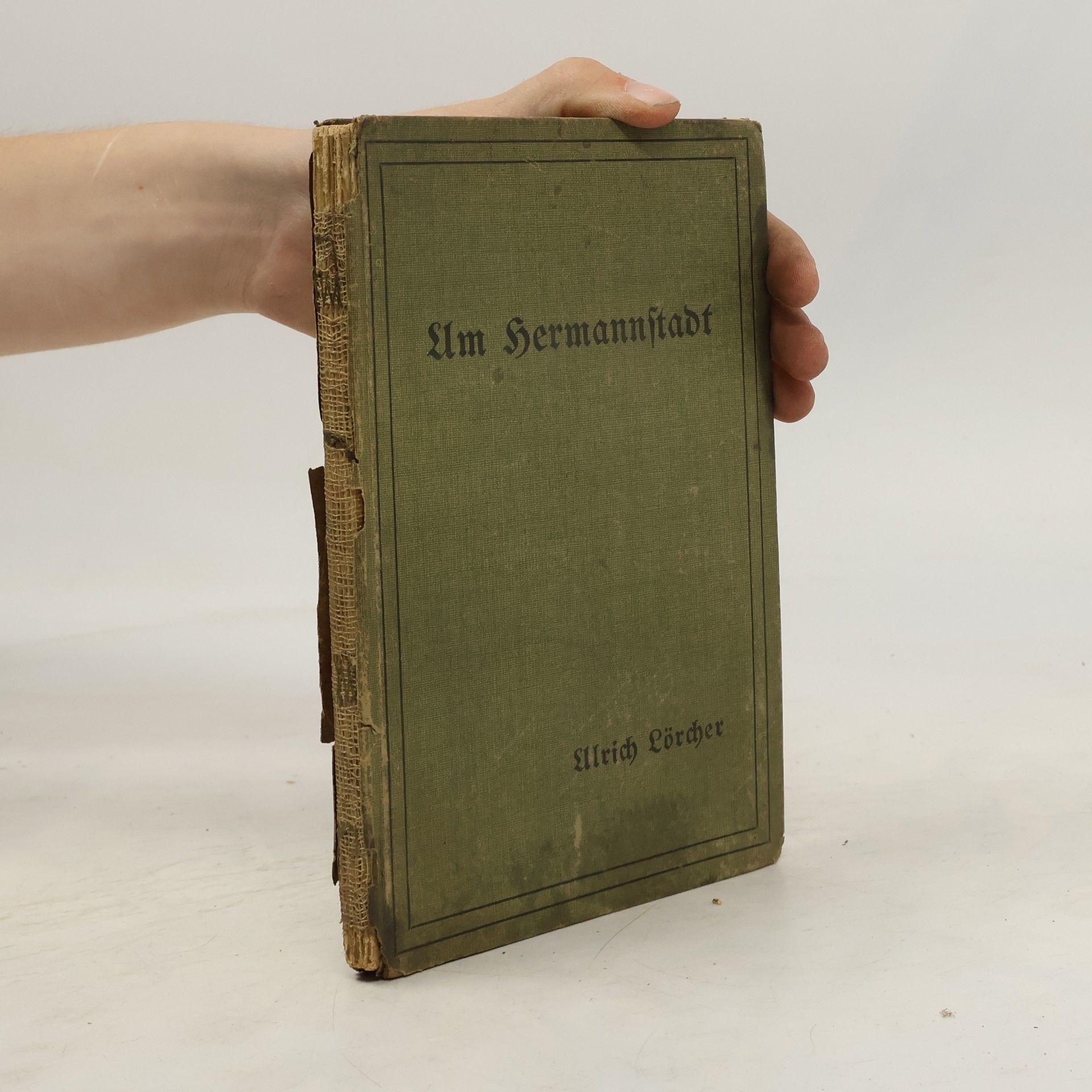 Ulrich Lörcher Um Hermannstadt. Erzählung aus dem Rumänienfeldzug 1916 und Freunde